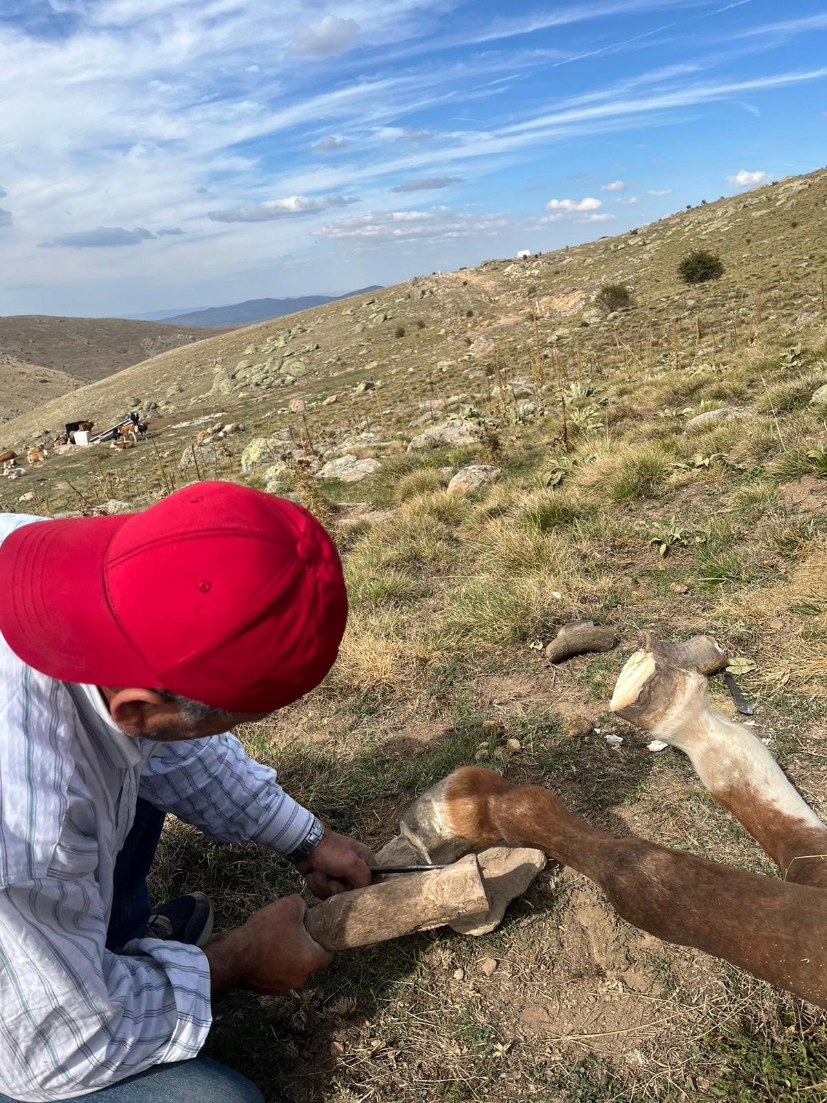 Uzayan Tırnağı Tedavi Edildi (3)