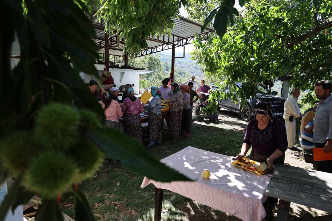 Aydın Dağlarında Kestane Telaşı (8)