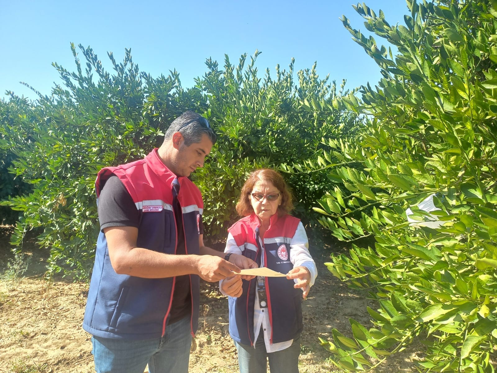 Aydın İl Tarım Ve Orman Müdürlüğü’nden Uyarı (2)