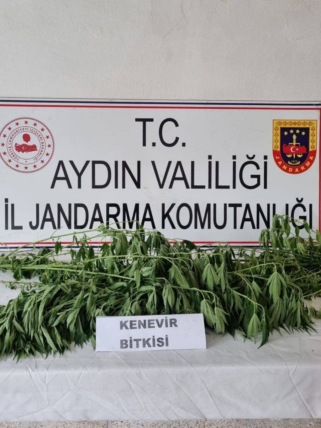 Aydın Jandarmasından Operasyon