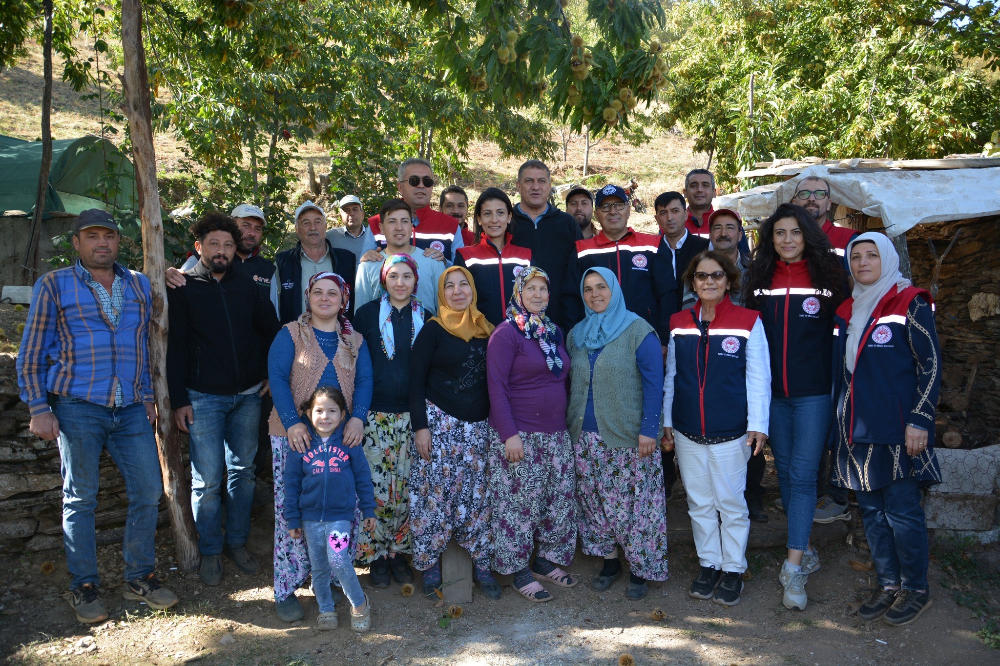 Aydın Kestane Üretiminde Birinci Sırada (2)