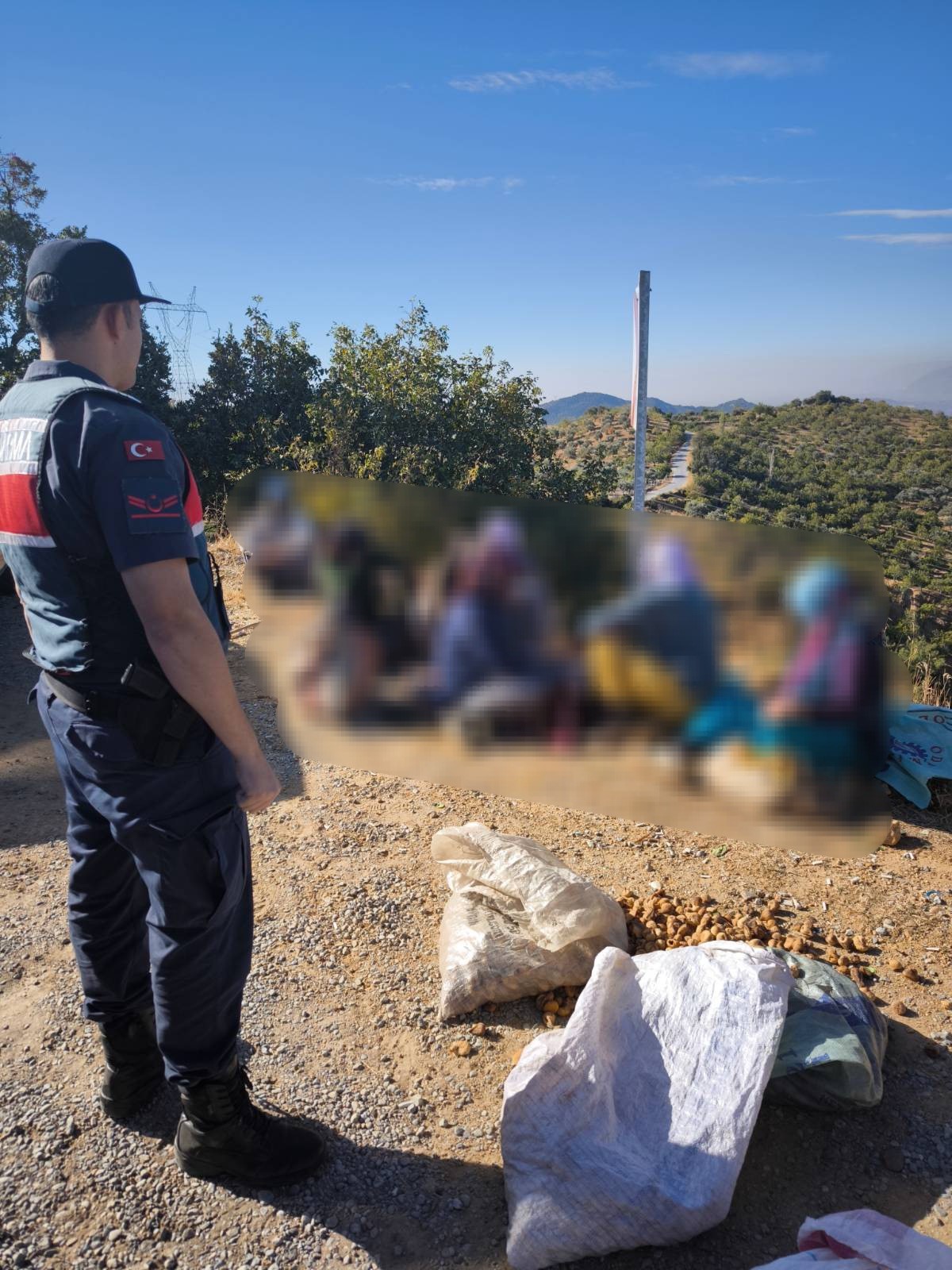 Aydın’da Bahçede Basıldılar