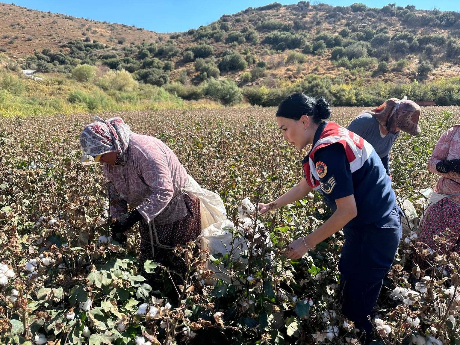 Aydın’da Jandarma Ekipleri Yaşlı Çınarları Unutmadı (6)