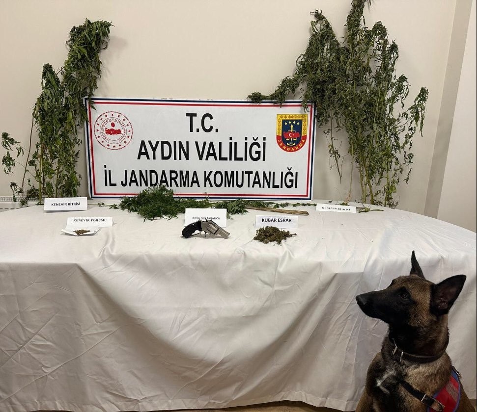 Aydın'da Uyuşturucu Baskını 1 Gözaltı