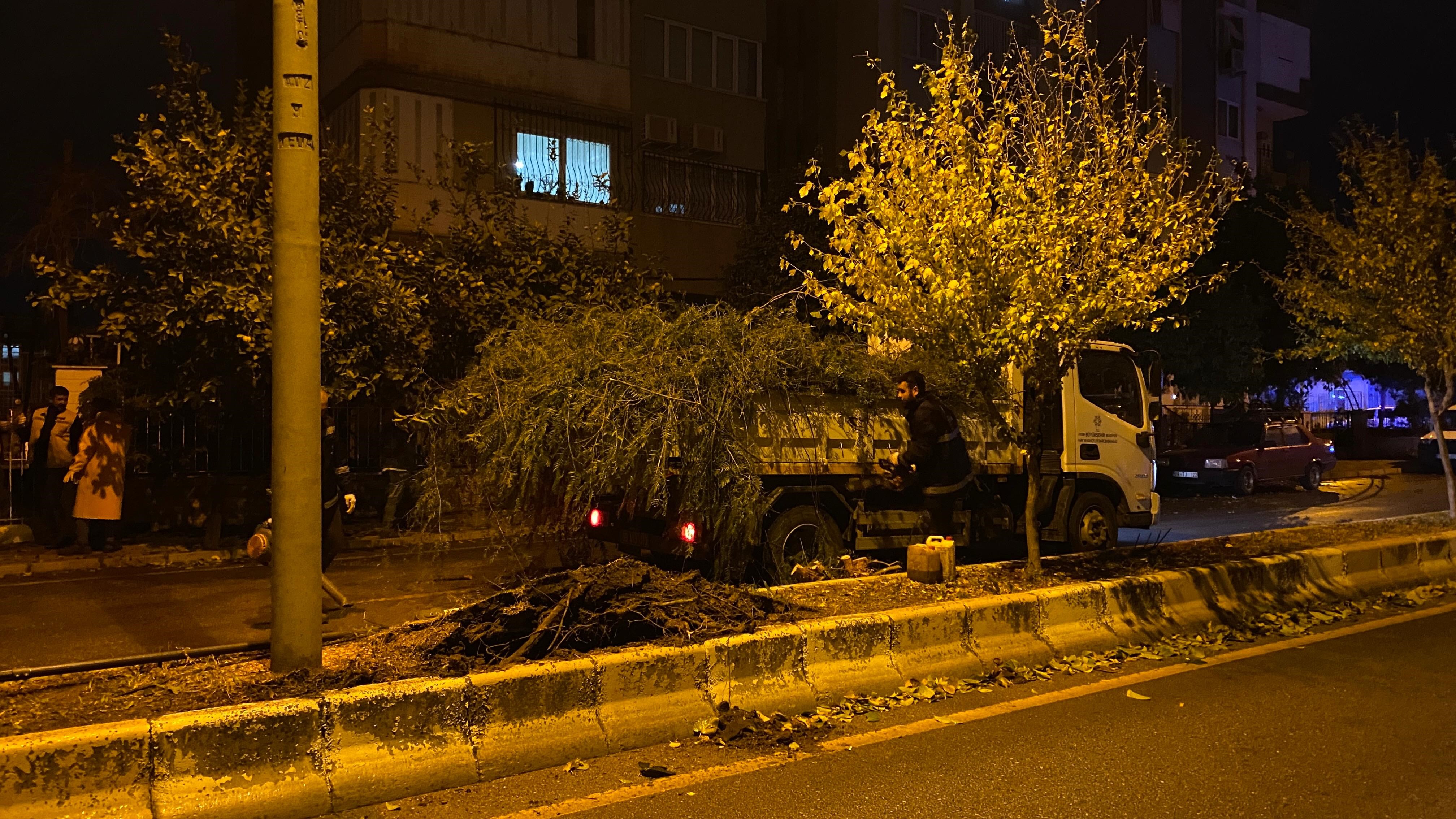 Aydın Efeler’de Ağaç Devrildi (2)