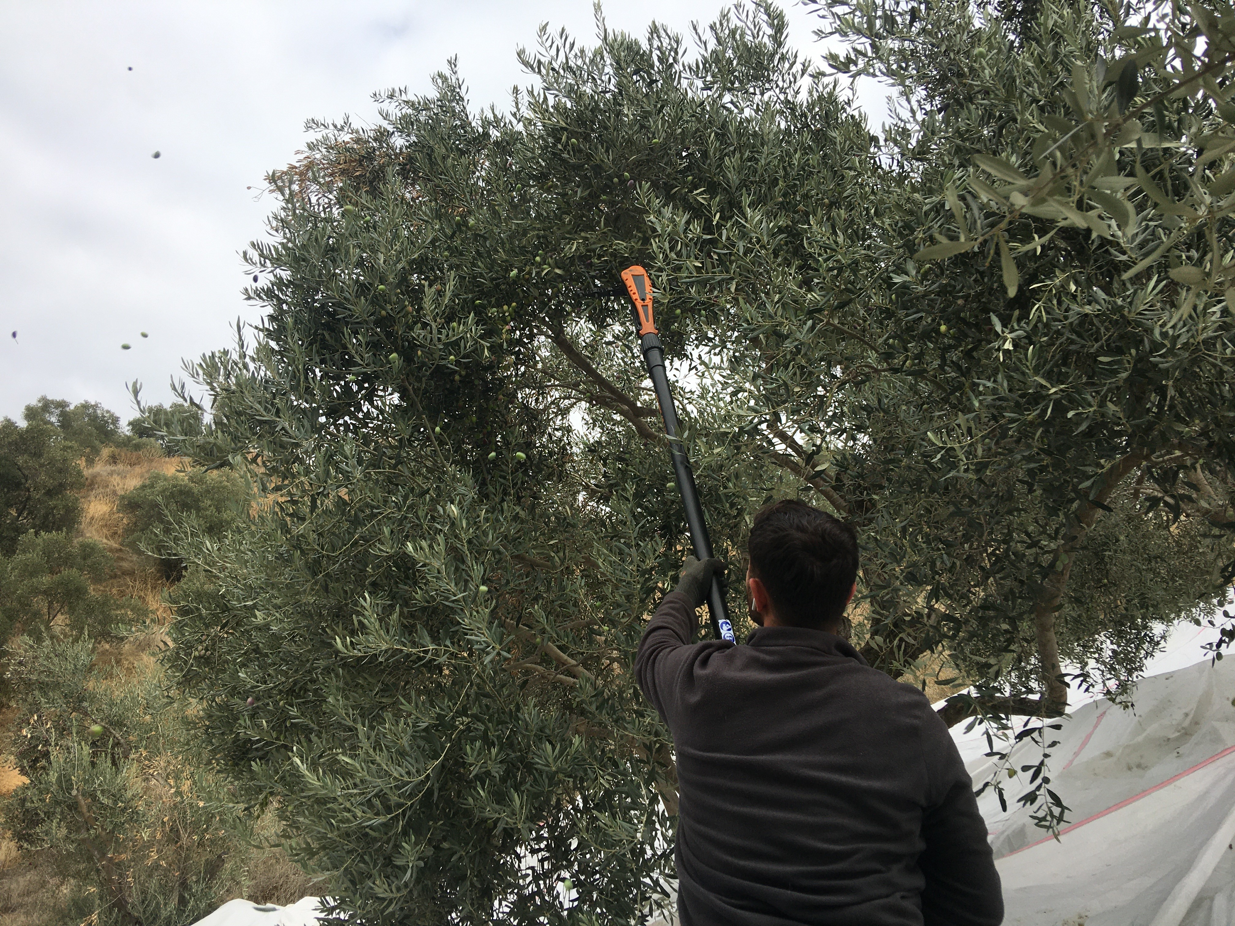 Aydın’da Günlük 3 Bin Liraya Çalışacak Eleman Arıyor (6)