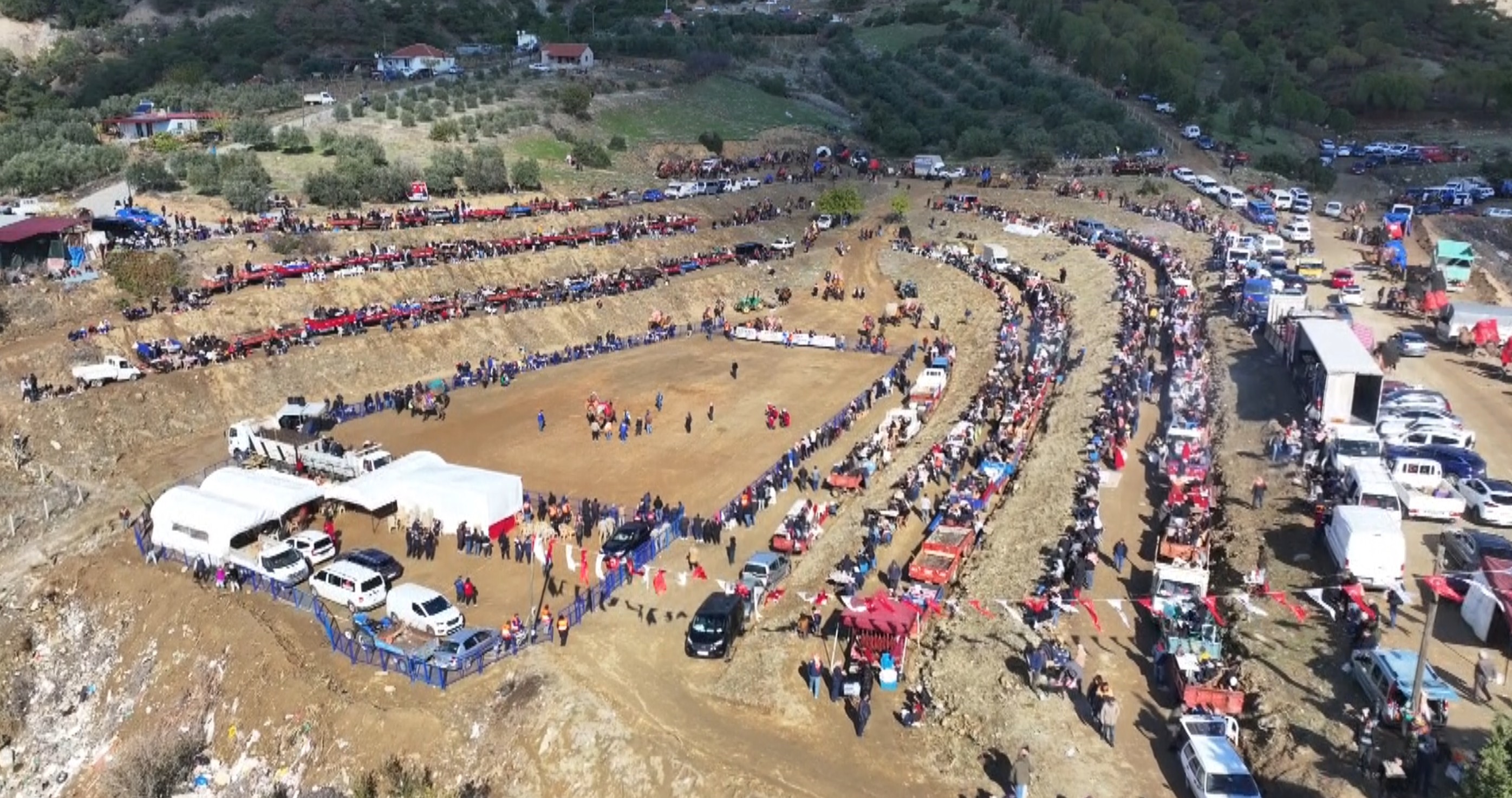 Aydın’da Pehlivan Develer Güreşti