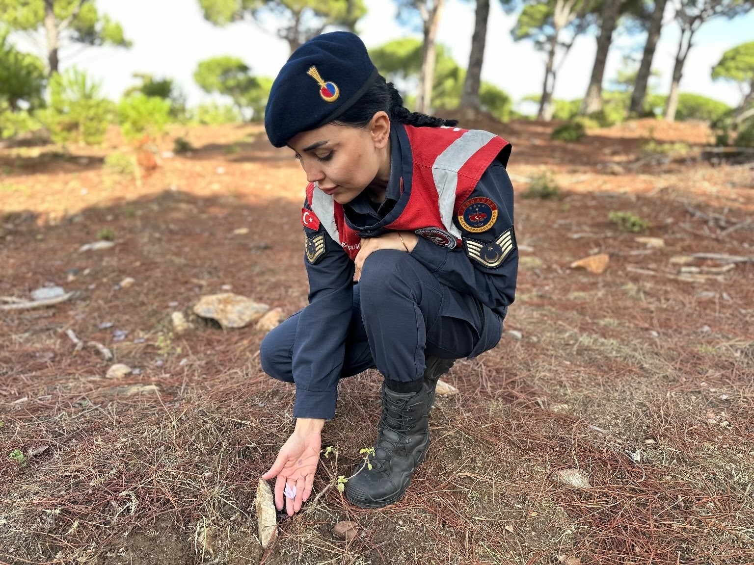 Aydın’da Yetişiyor, Koparmanın Cezası 387 Bin Lira (2)