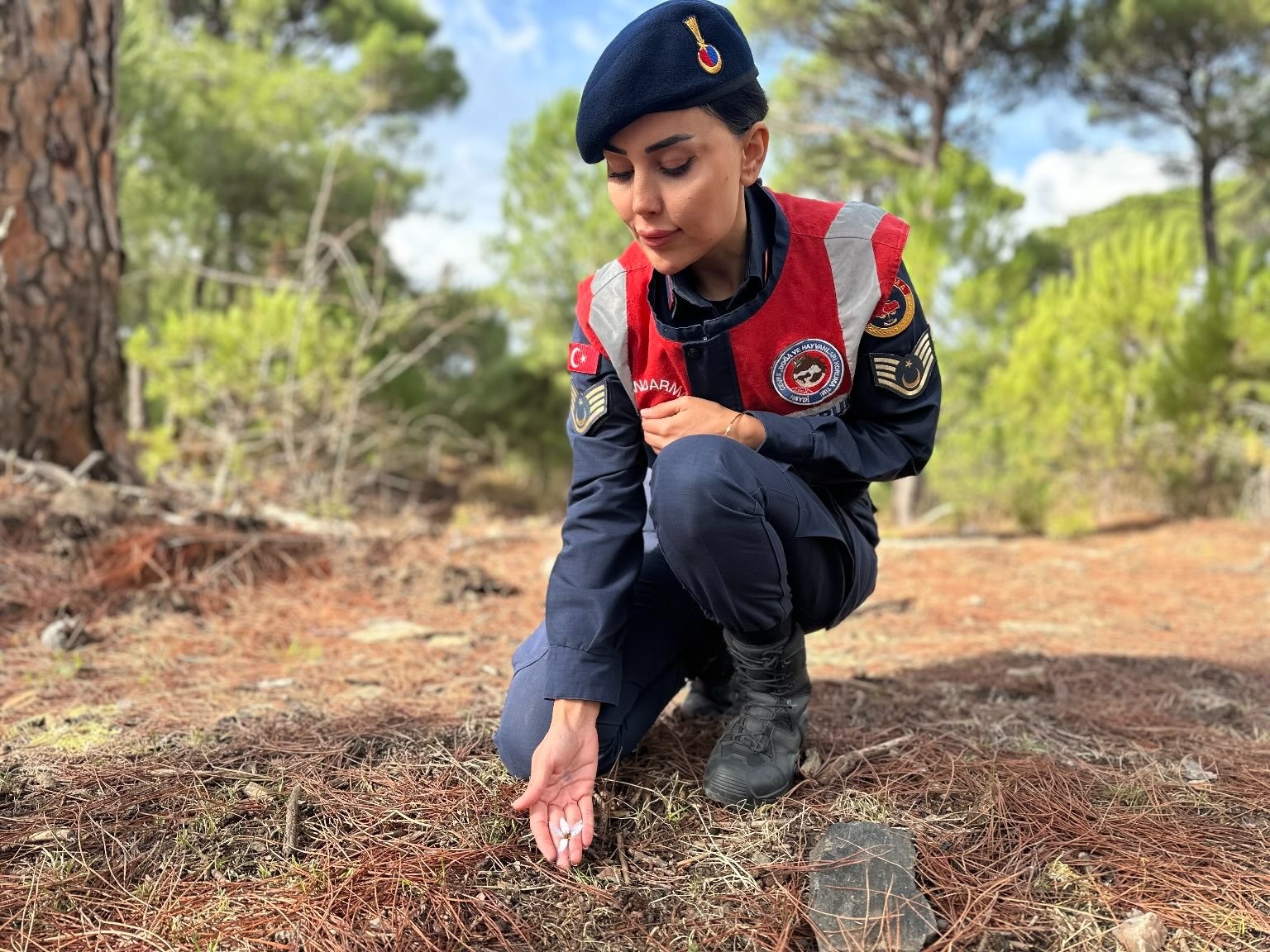 Aydın’da Yetişiyor, Koparmanın Cezası 387 Bin Lira (3)