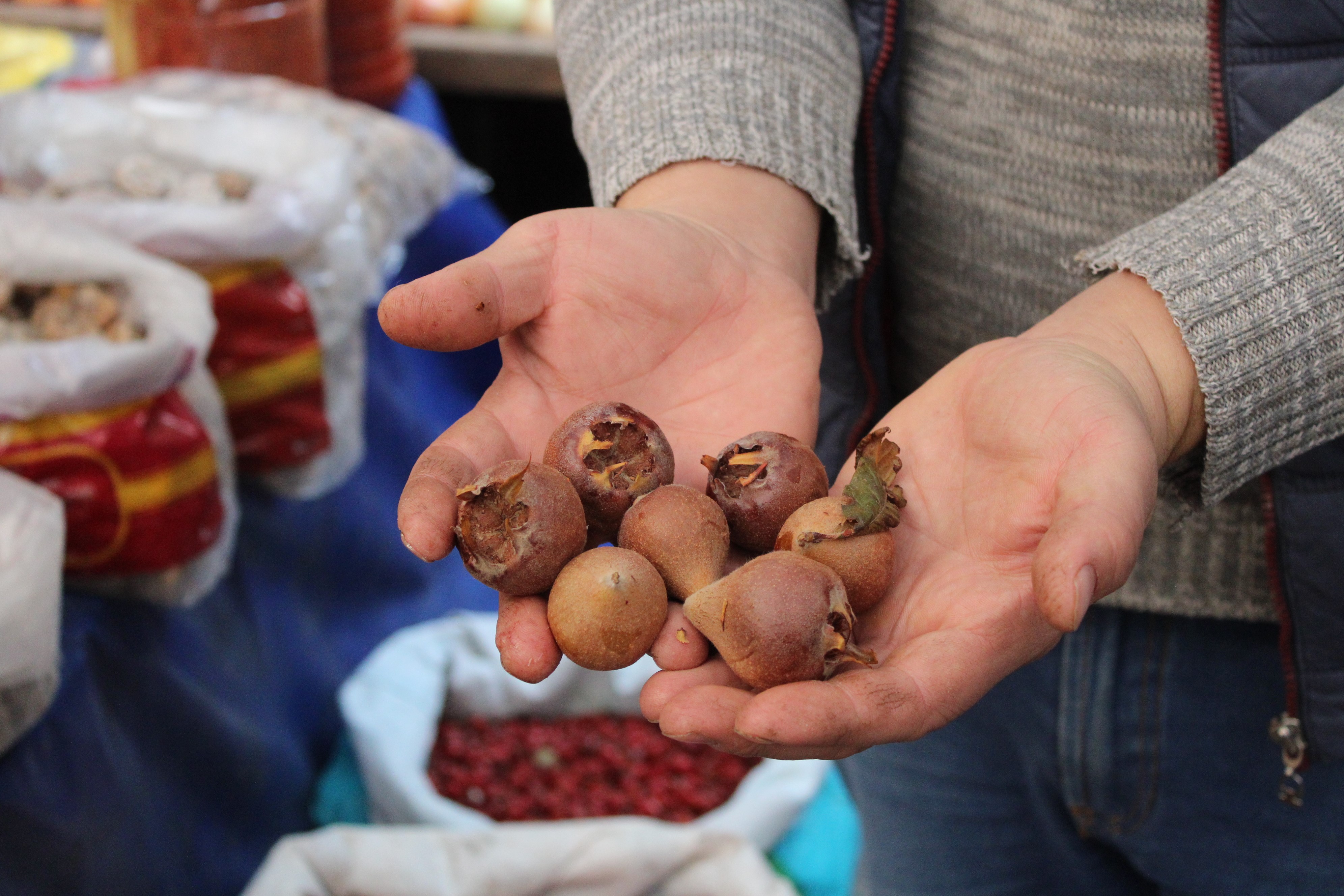 Aydın’ın Dağların Yetişiyor, Faydası Saymakla Bitmiyor (2)