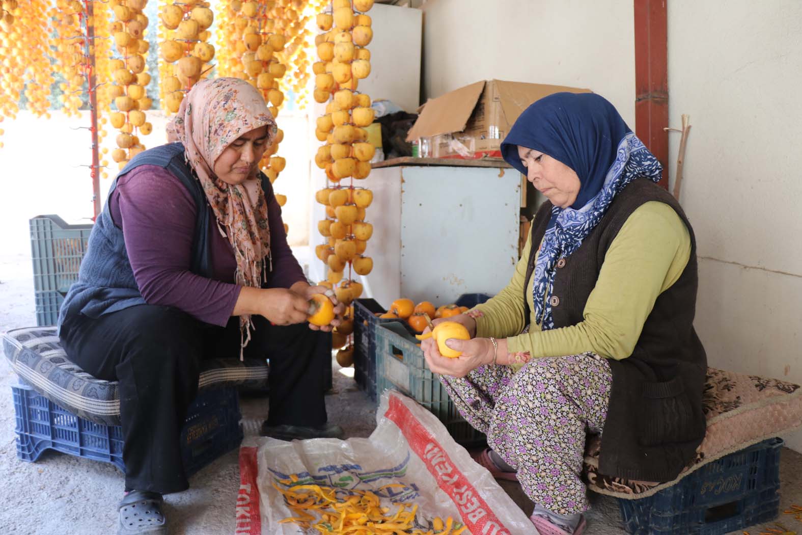 Cennet Hurmaları Terasları Süsledi (6)