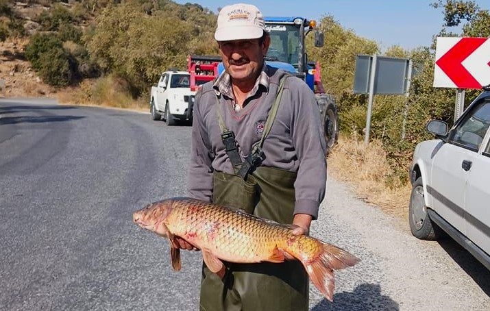 Ekodos Azap Gölü'nün Şansı, Tepeli Pelikanlara Dikkat Çekti (3)