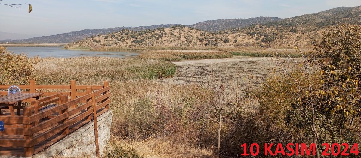 Ekodos Azap Gölü'nün Şansı, Tepeli Pelikanlara Dikkat Çekti (4)