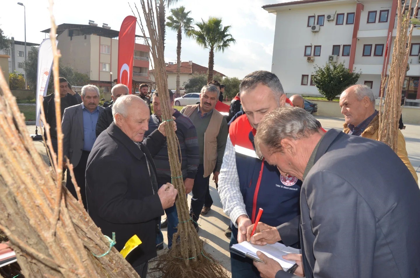 Aydın Buharkent’te 1300 Kestane Fidanı Dağıtıldı (3)