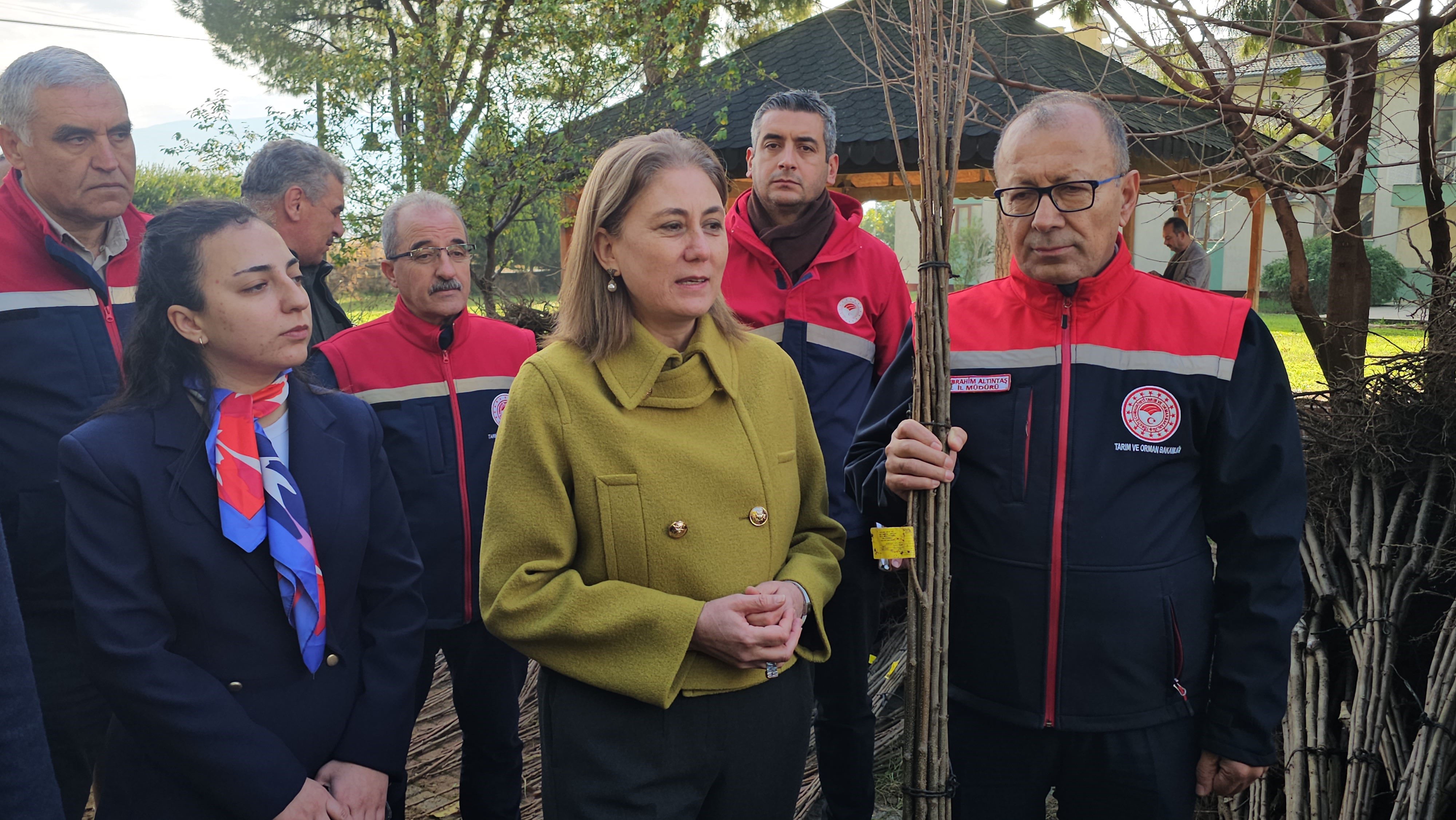 Aydın Nazilli’de Hastalıklara Dayanıklı Kestane Fidanı Dağıtıldı (2)