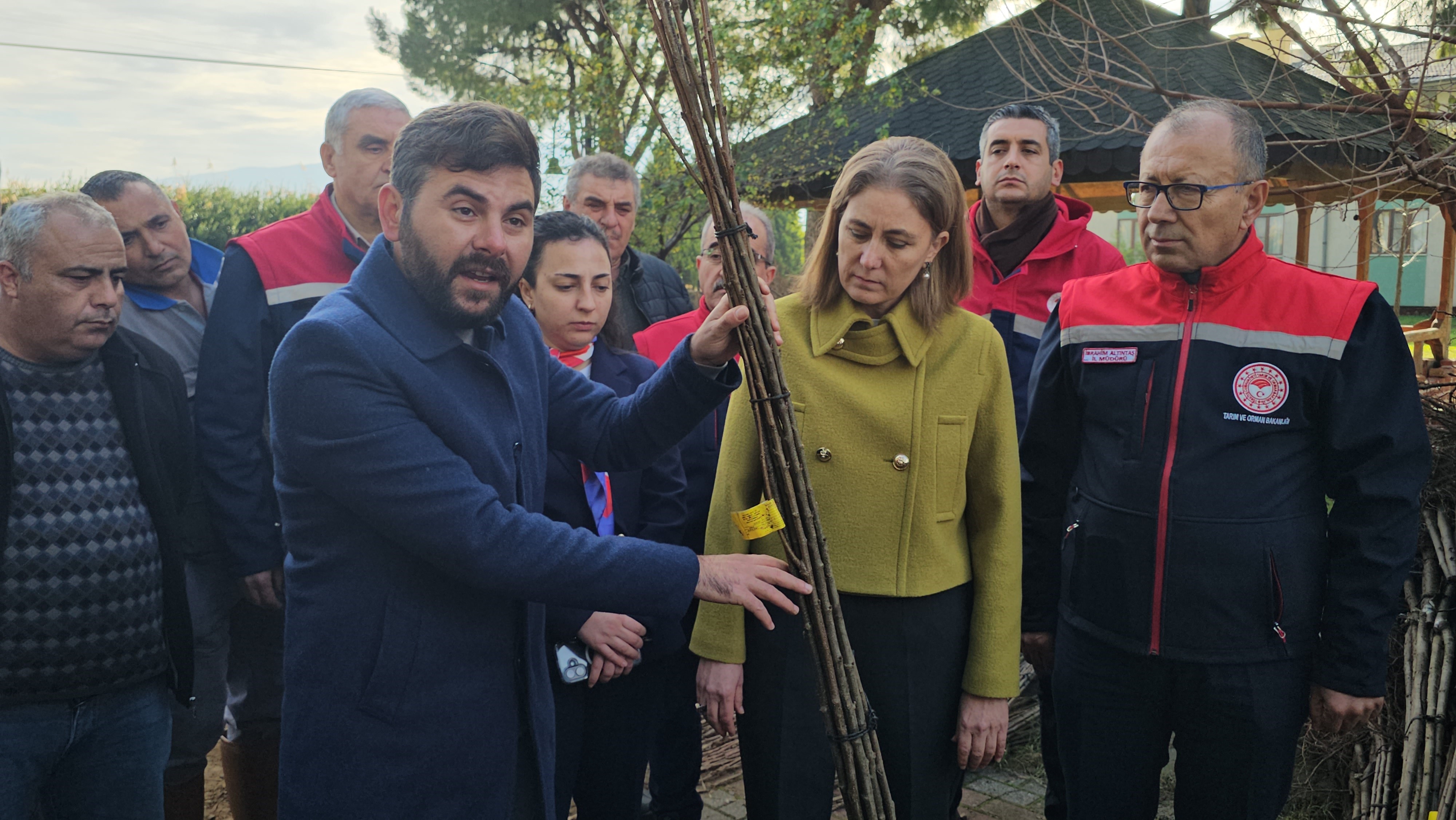 Aydın Nazilli’de Hastalıklara Dayanıklı Kestane Fidanı Dağıtıldı (3)