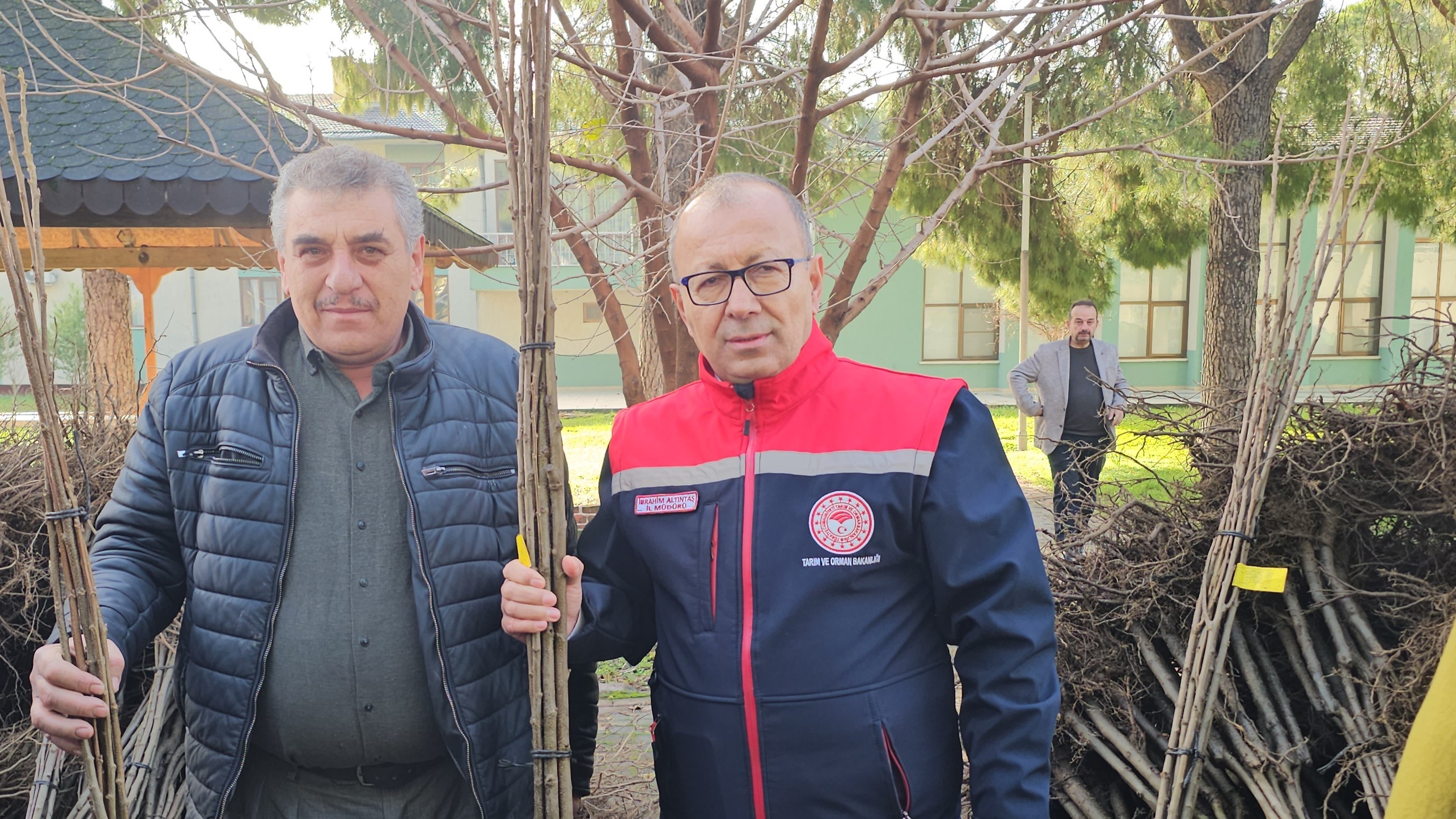 Aydın Nazilli’de Hastalıklara Dayanıklı Kestane Fidanı Dağıtıldı (4)