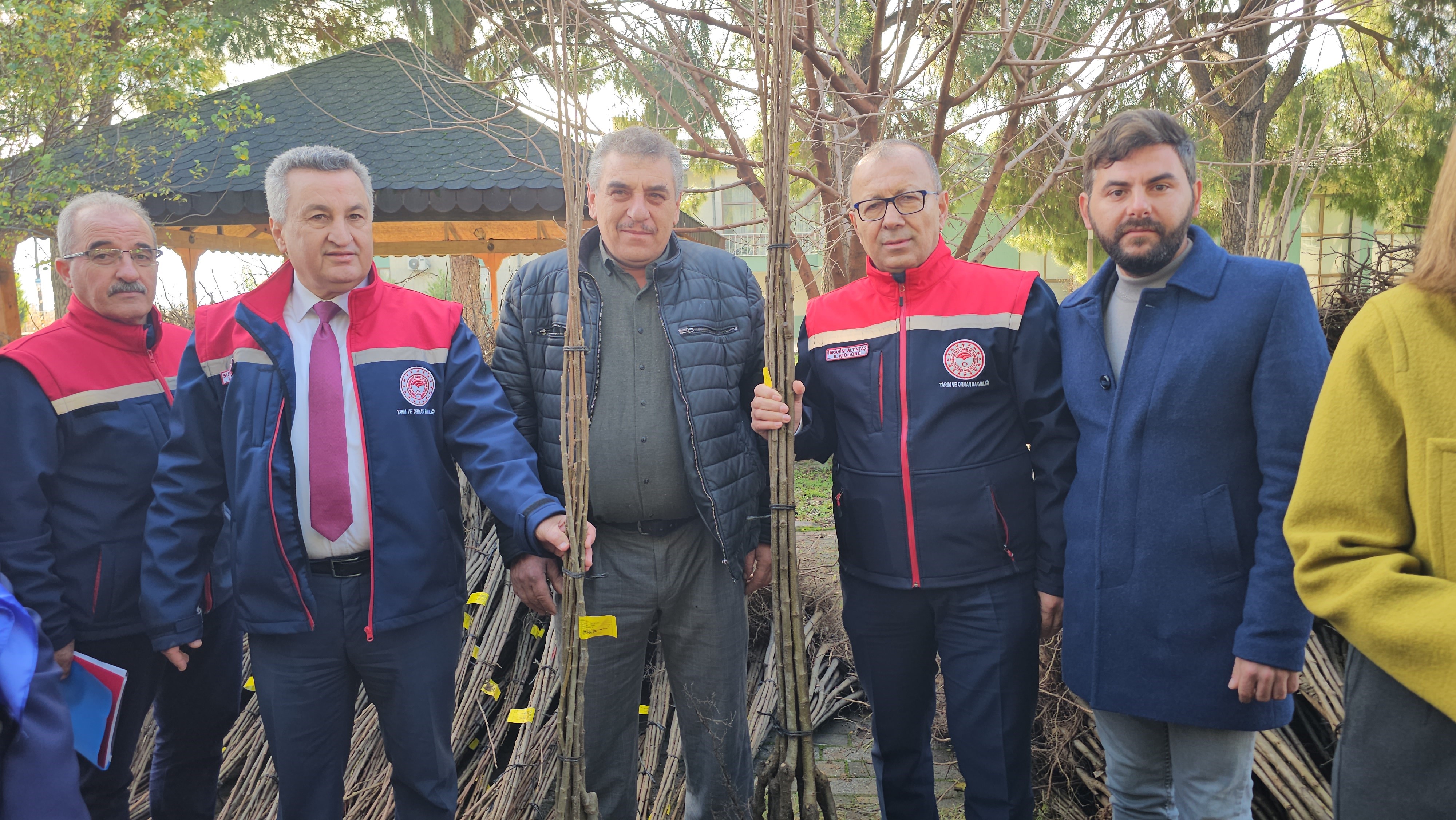 Aydın Nazilli’de Hastalıklara Dayanıklı Kestane Fidanı Dağıtıldı (5)