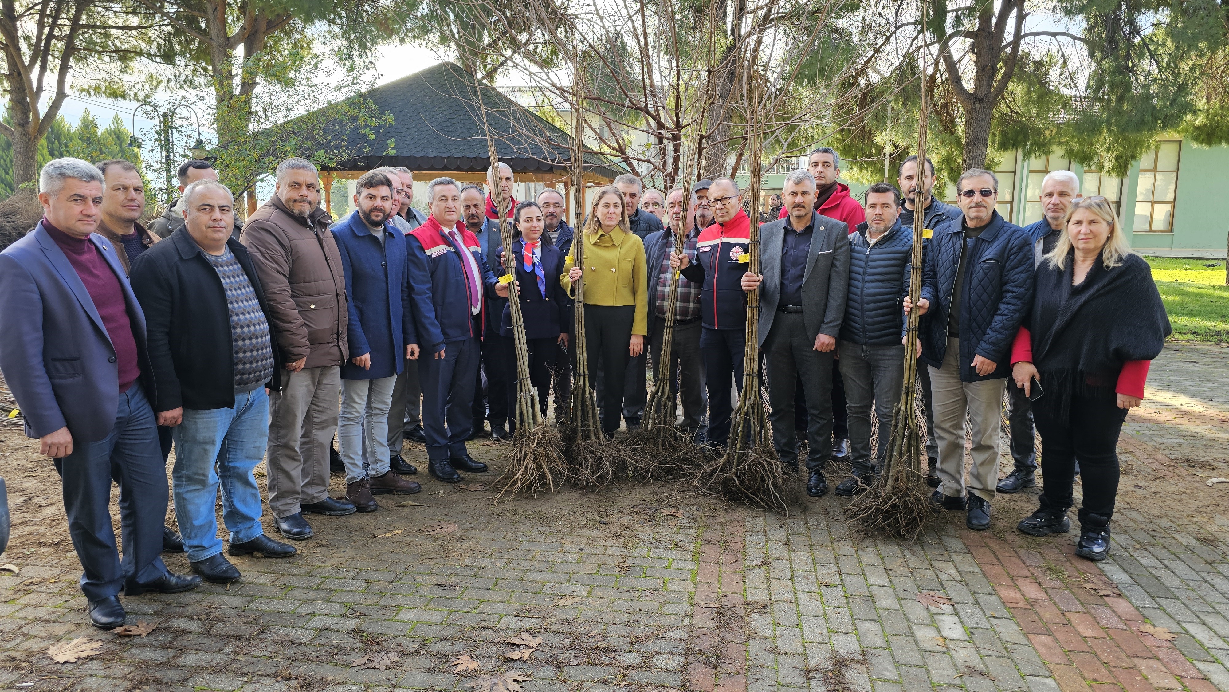 Aydın Nazilli’de Hastalıklara Dayanıklı Kestane Fidanı Dağıtıldı