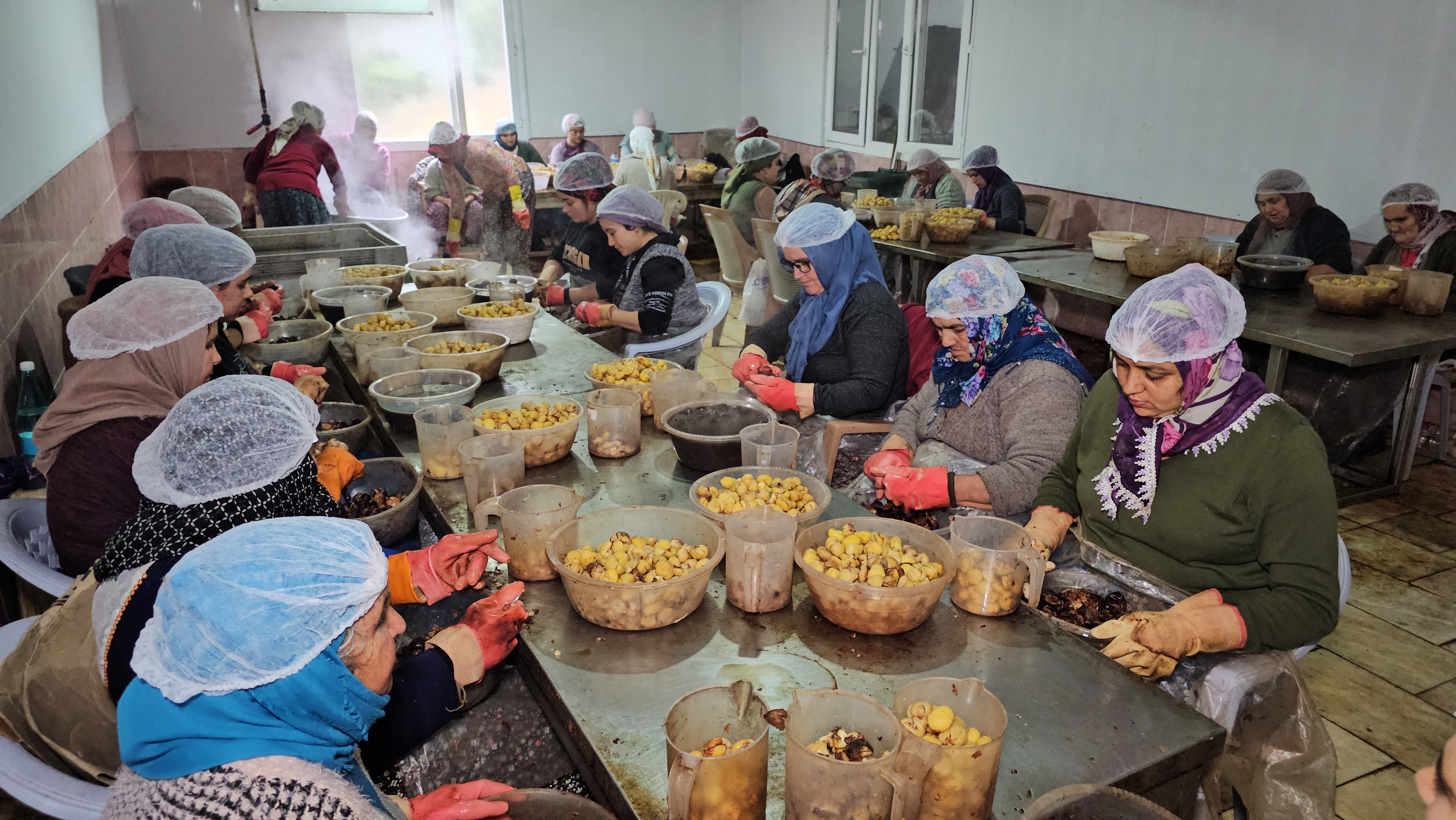 Aydın Nazilli’den Gidiyor, Uzakdoğu Sofralarını Süslüyor