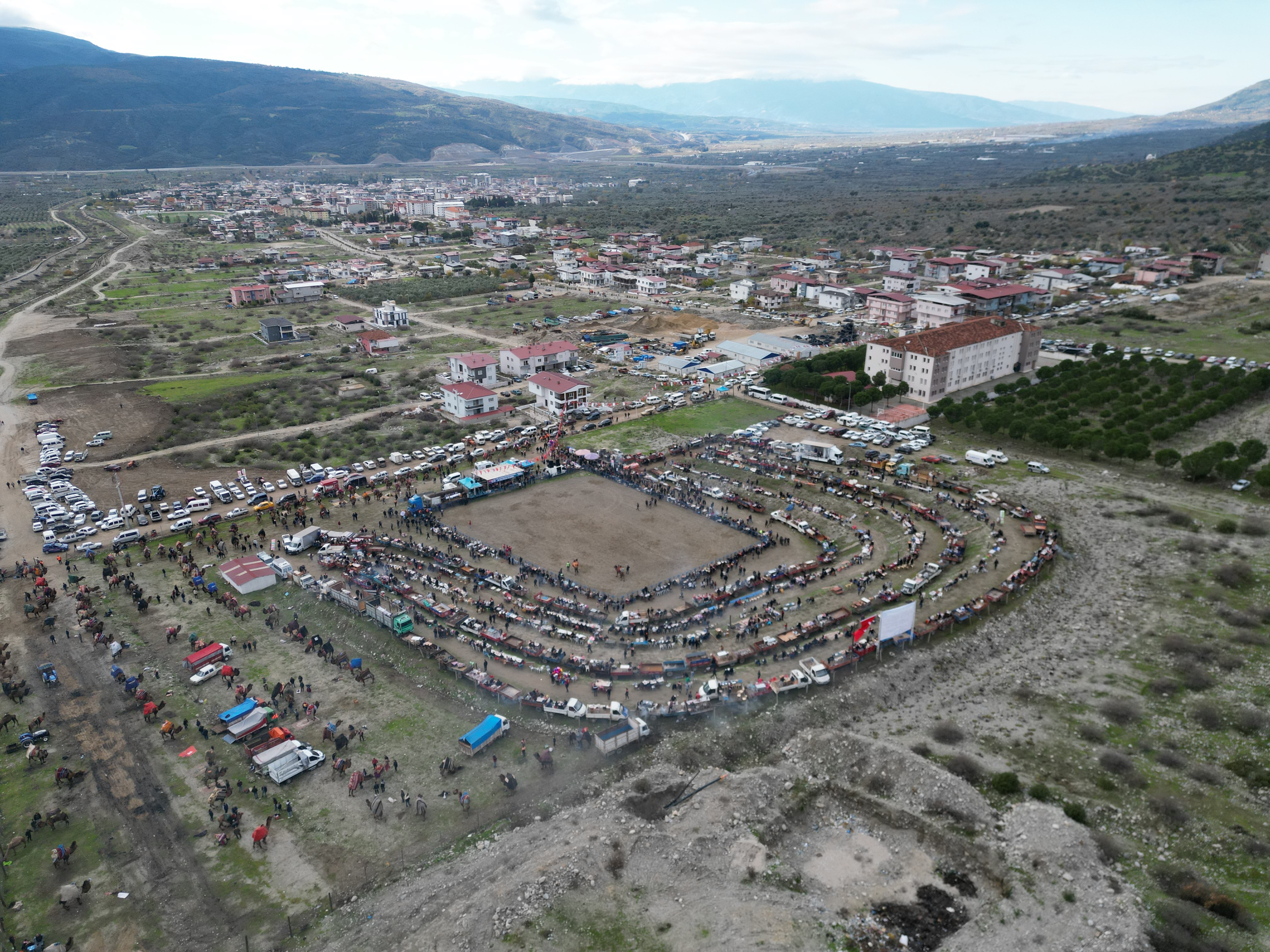 Aydın’da Deve Güreşi Için Geri Sayım Başladı (3)