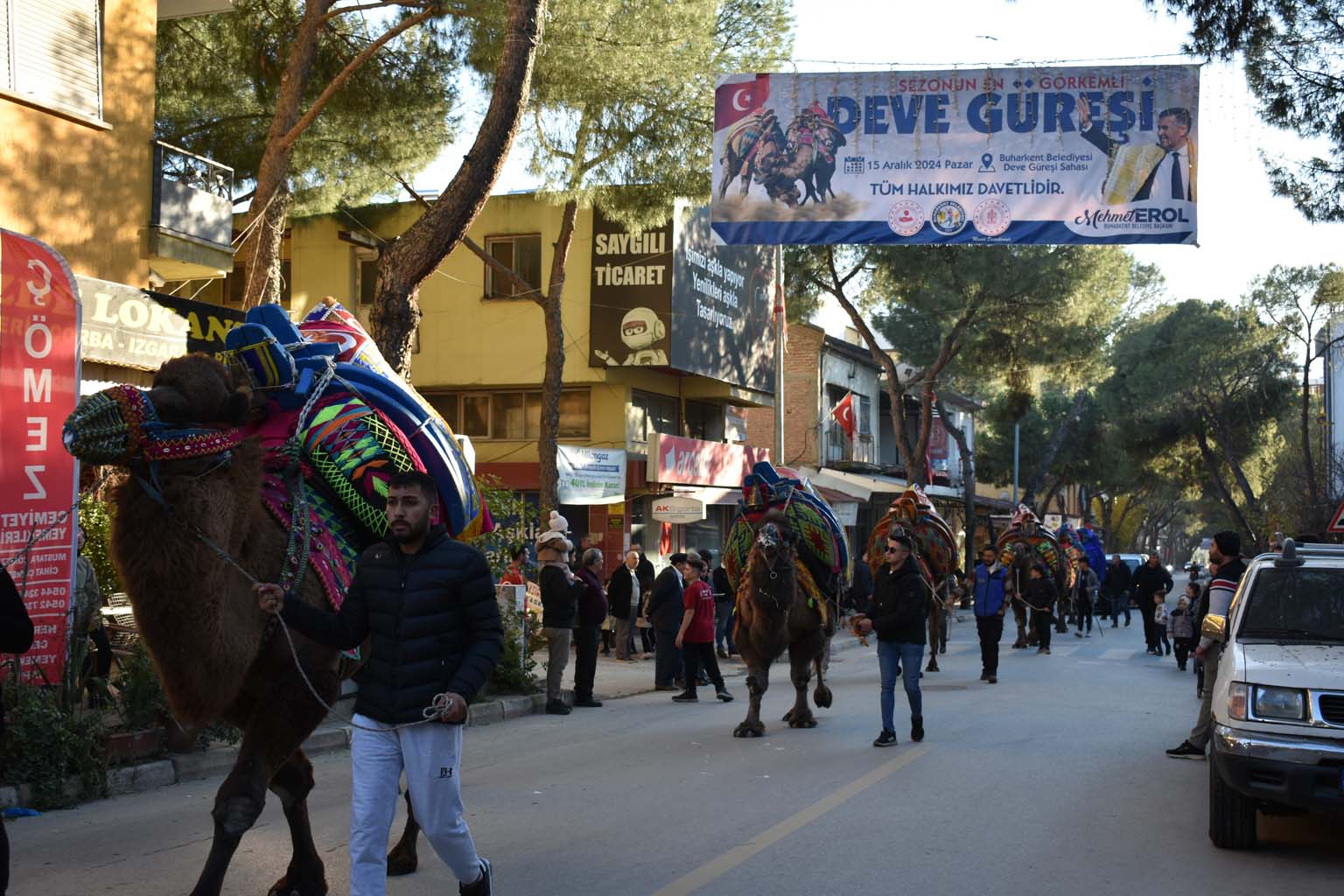 Aydın’da Deve Güreşine Davet Var (3)