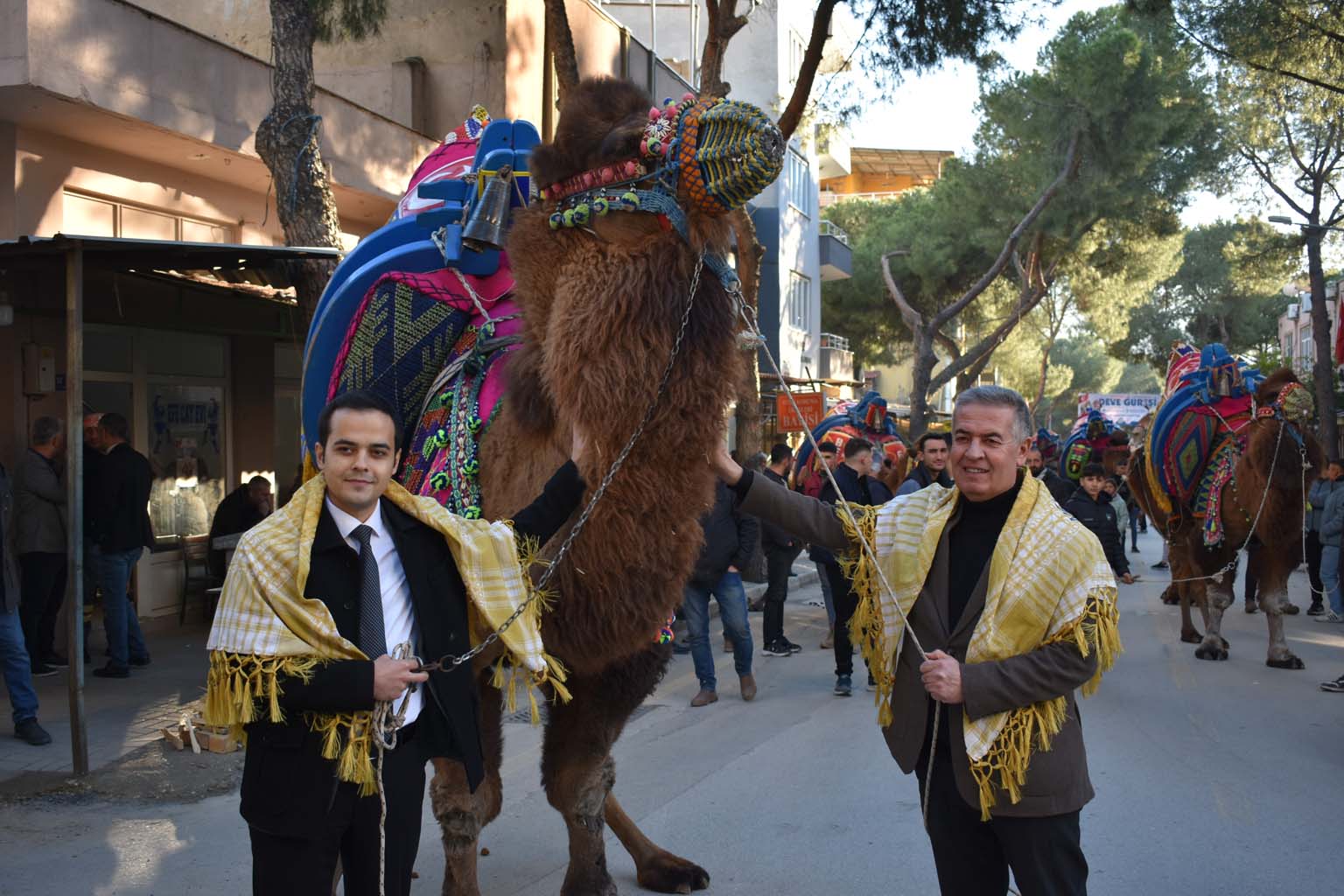 Aydın’da Deve Güreşine Davet Var