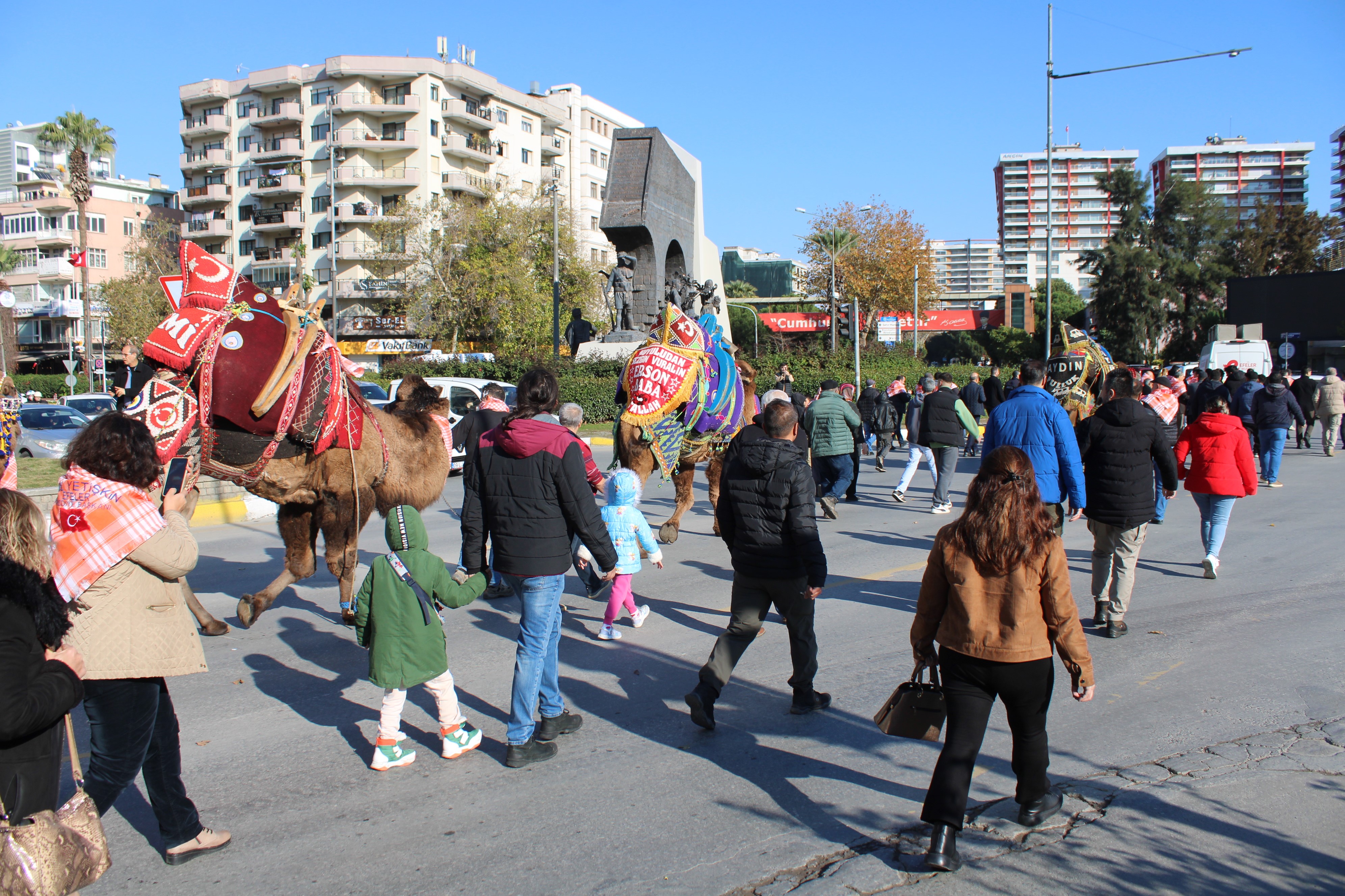 Aydın’da Develer Görücüye Çıktı (3)