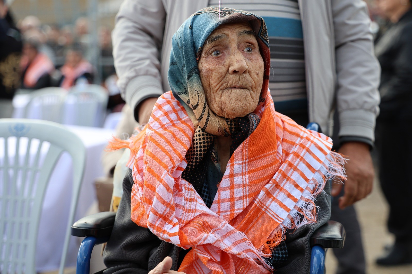 Aydınlı 95 Yaşındaki Hatice Nine Deve Güreşlerini Kaçırmıyor