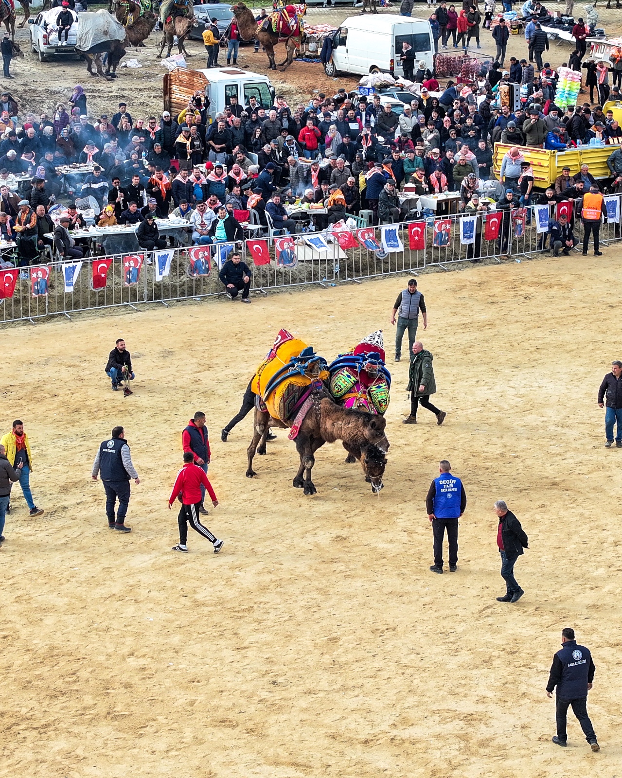 Deve Güreşi Festivali 10