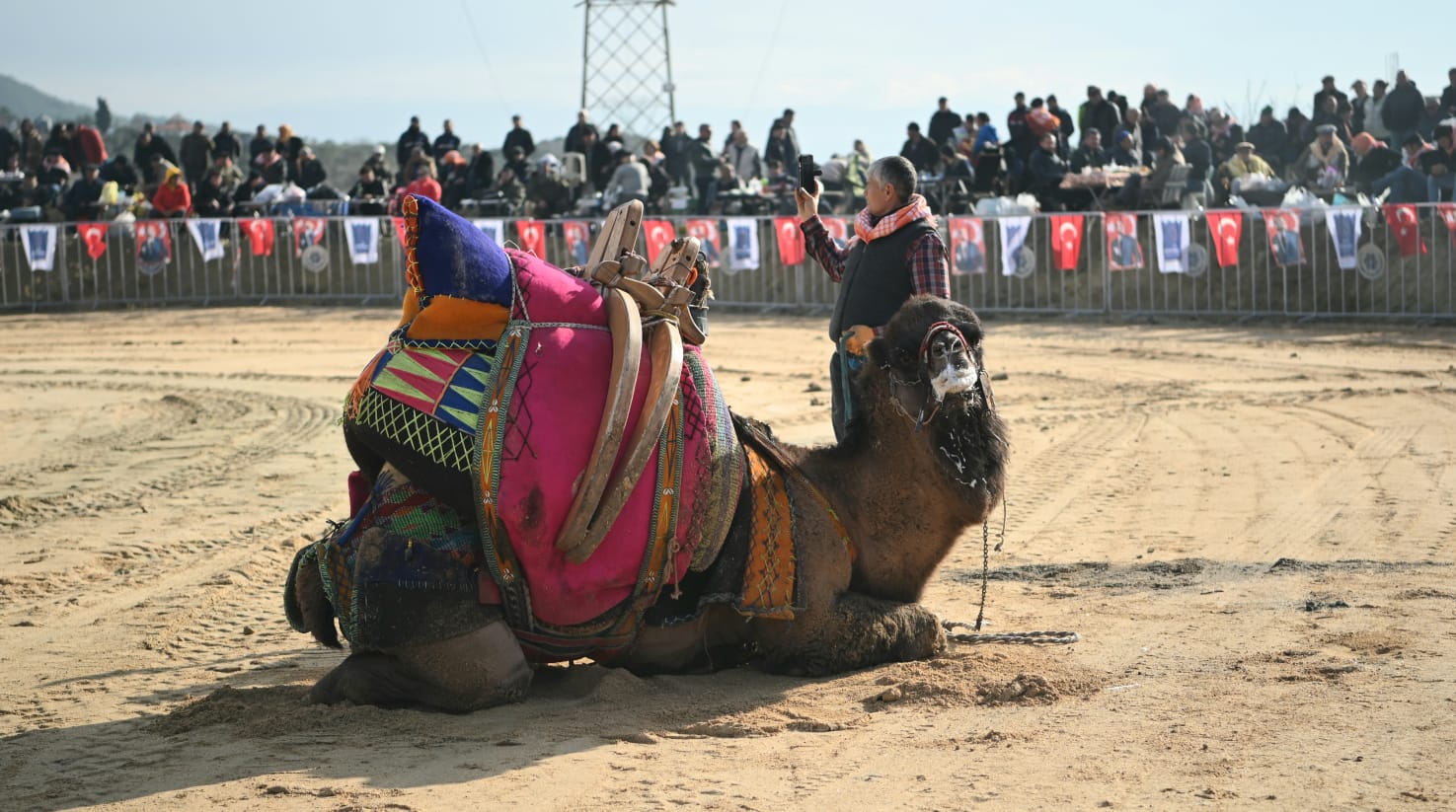 Deve Güreşi Festivali 7