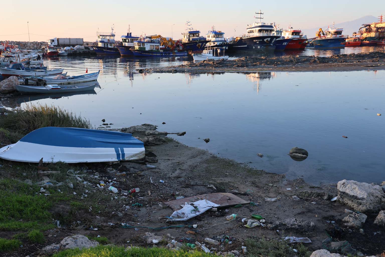 Didim’de Mide Bulandıran Görüntüler (5)