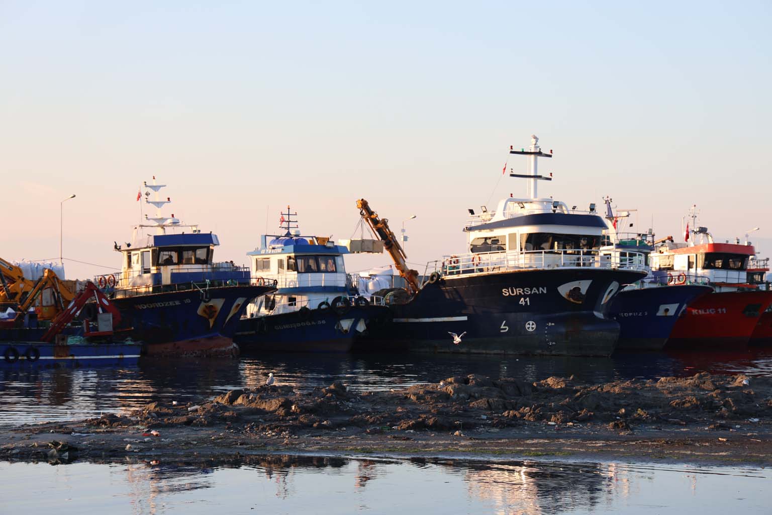 Didim’de Mide Bulandıran Görüntüler