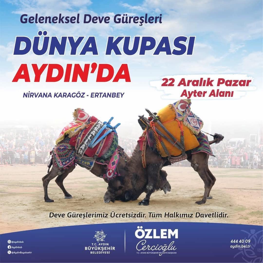 Geleneksel Deve Güreşleri Dünya Kupası Aydın’da Düzenleniyor (4)