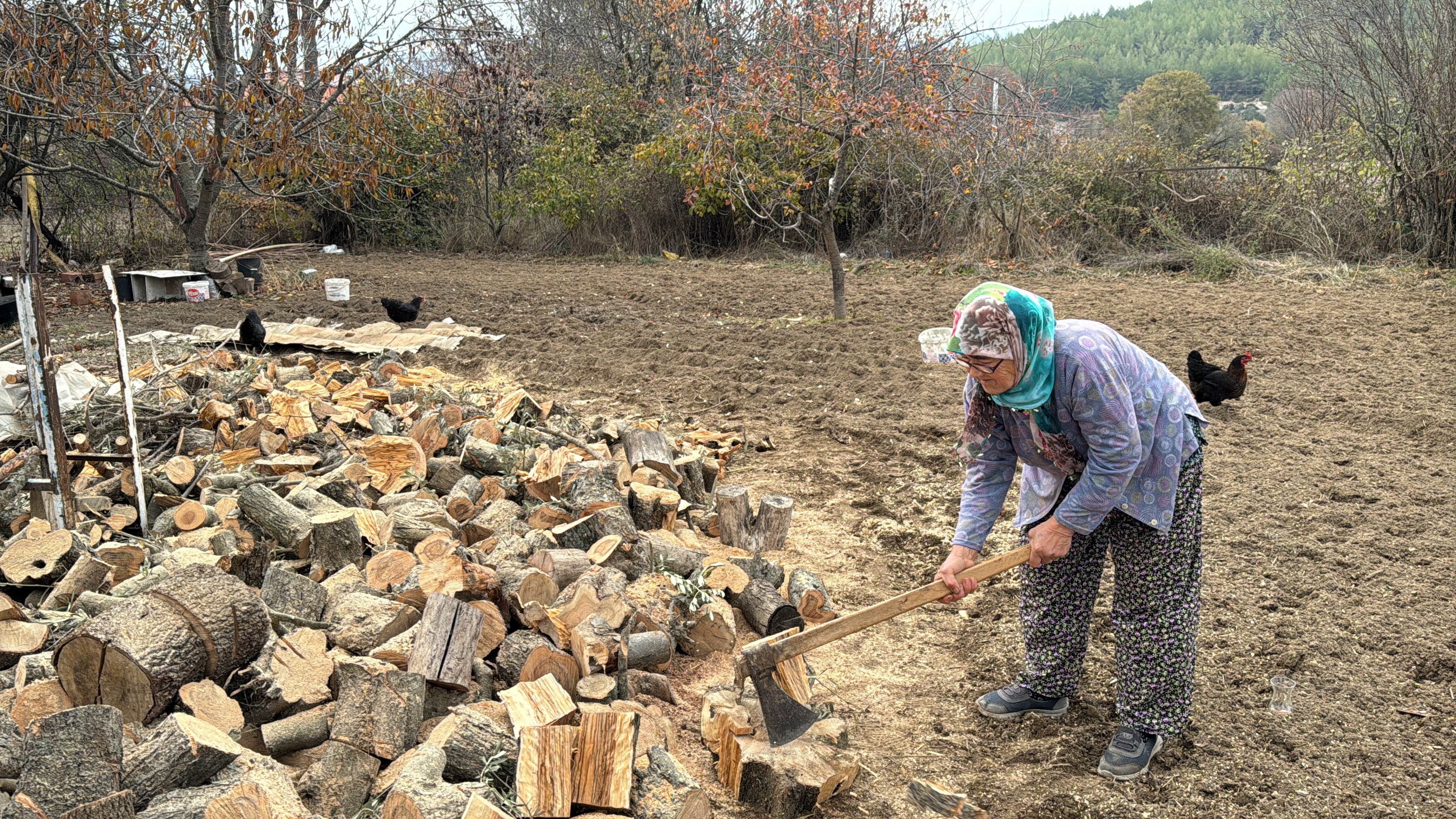 Günay Teyze Gençlere Ilham Oluyor (2)