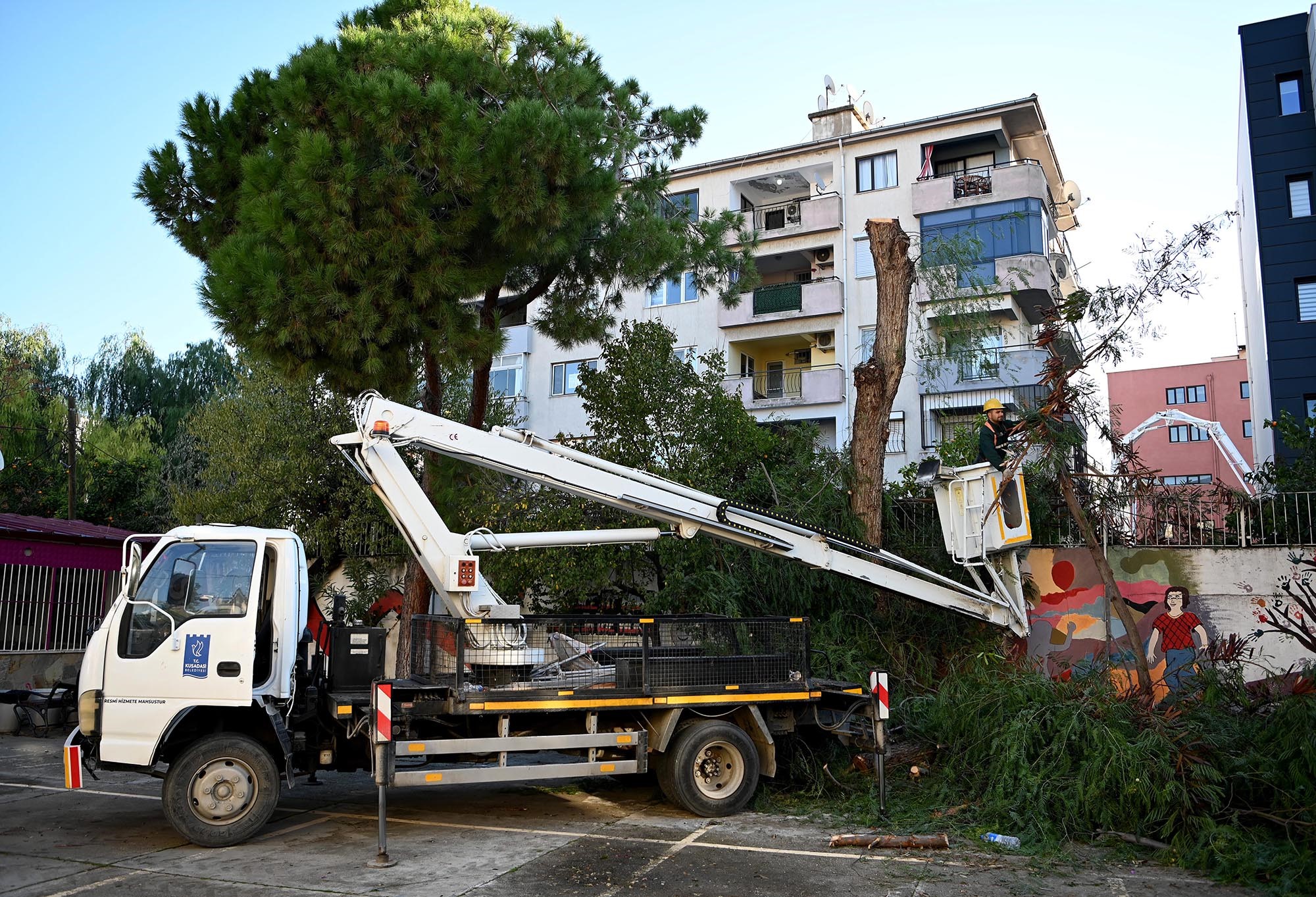 Kuşadası'nda Ağaç Atıkları Ihtiyaç Sahipleri Için Yakacağa Dönüşüyor (2)