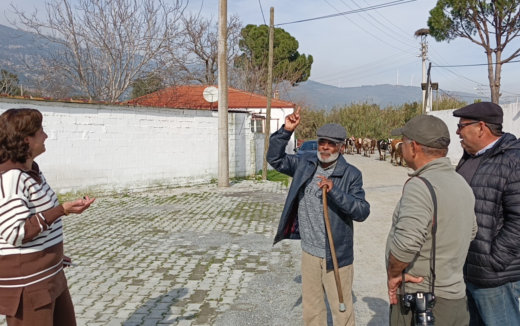 Aydın’da Baharın Müjdecisi Leylek Yuvasına Kondu (5)