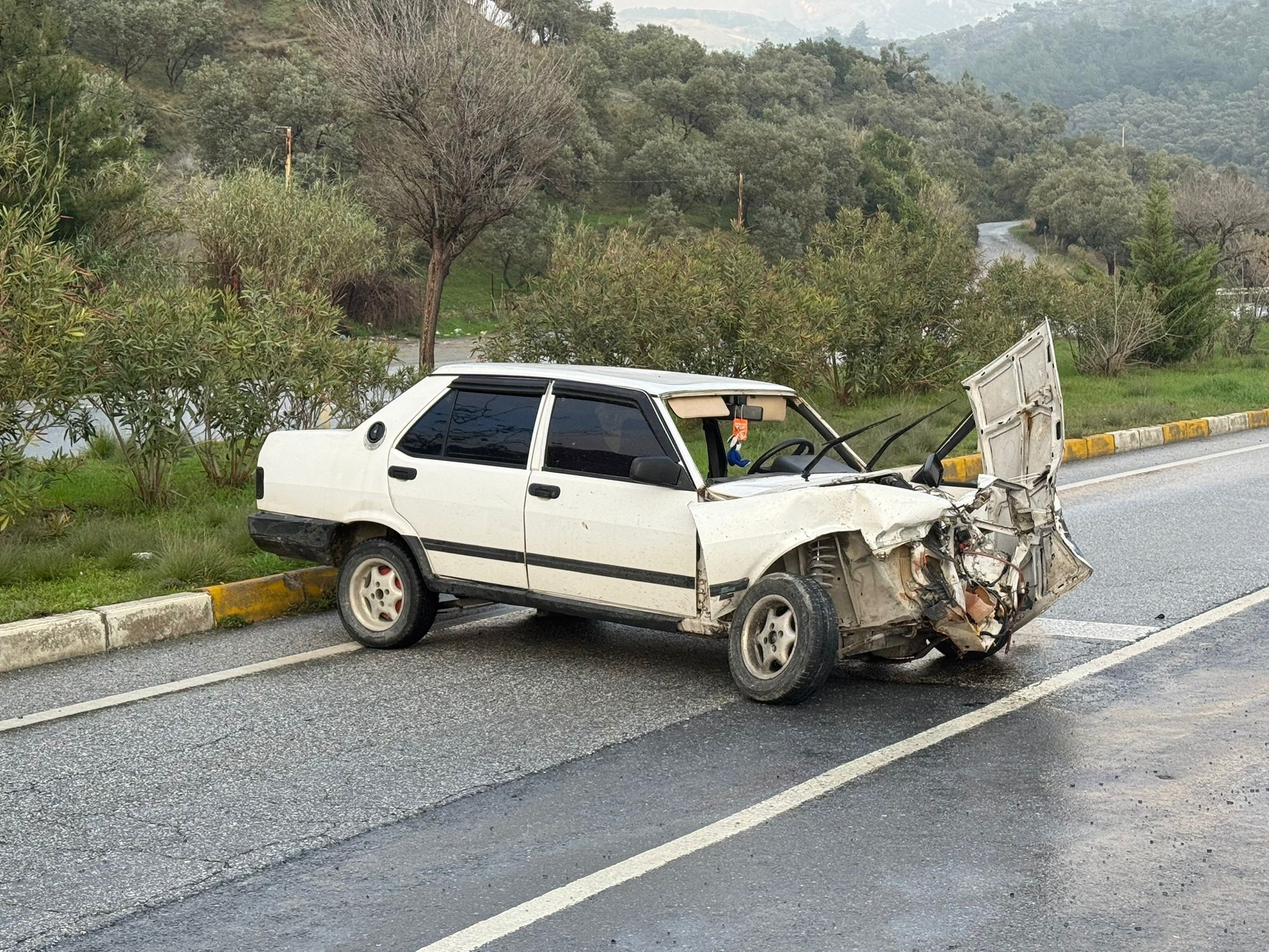 Aydın’da Feci Kaza (5)-1