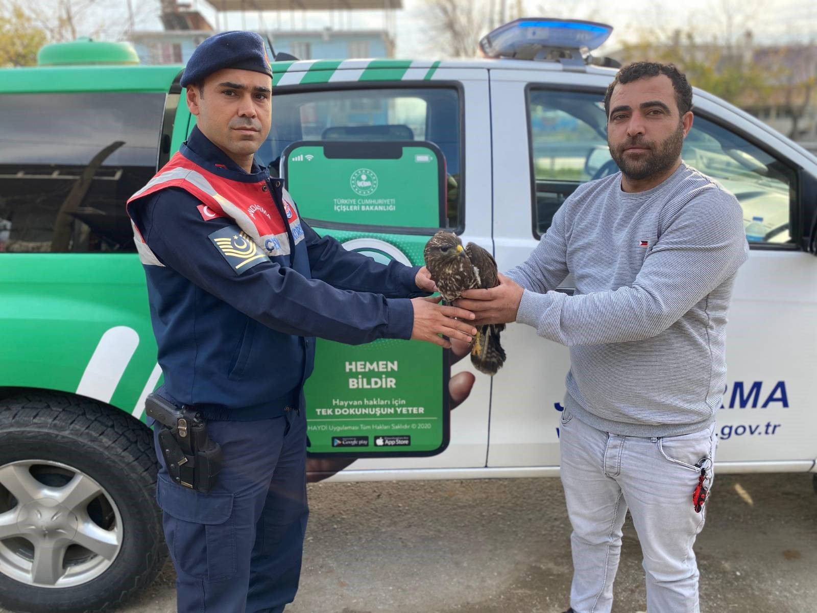 Aydın’da Kızıl Şahin Yaralı Halde Bulundu (2)