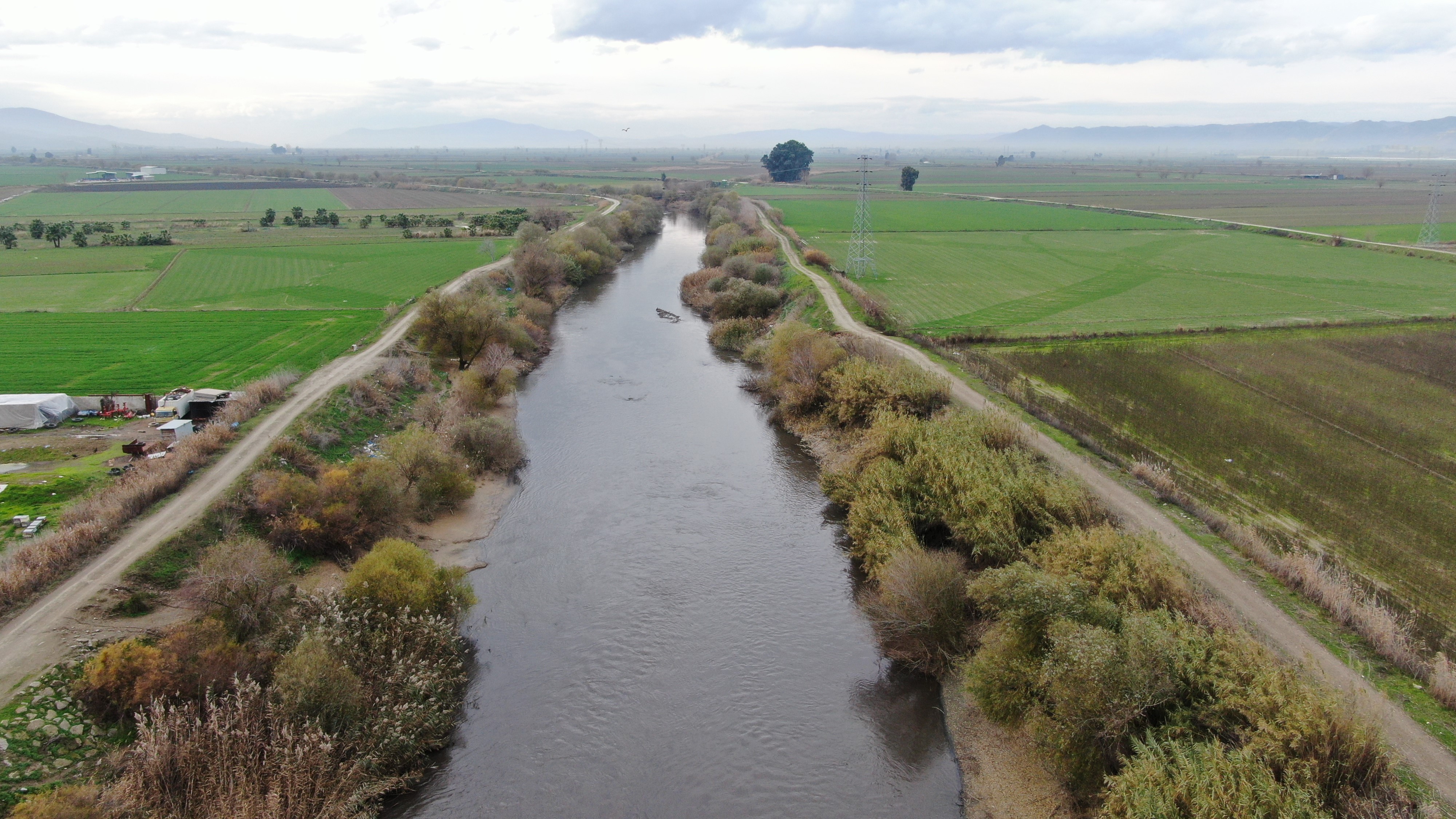 Aydın’da Menderes Nehri Yükseldi (2)