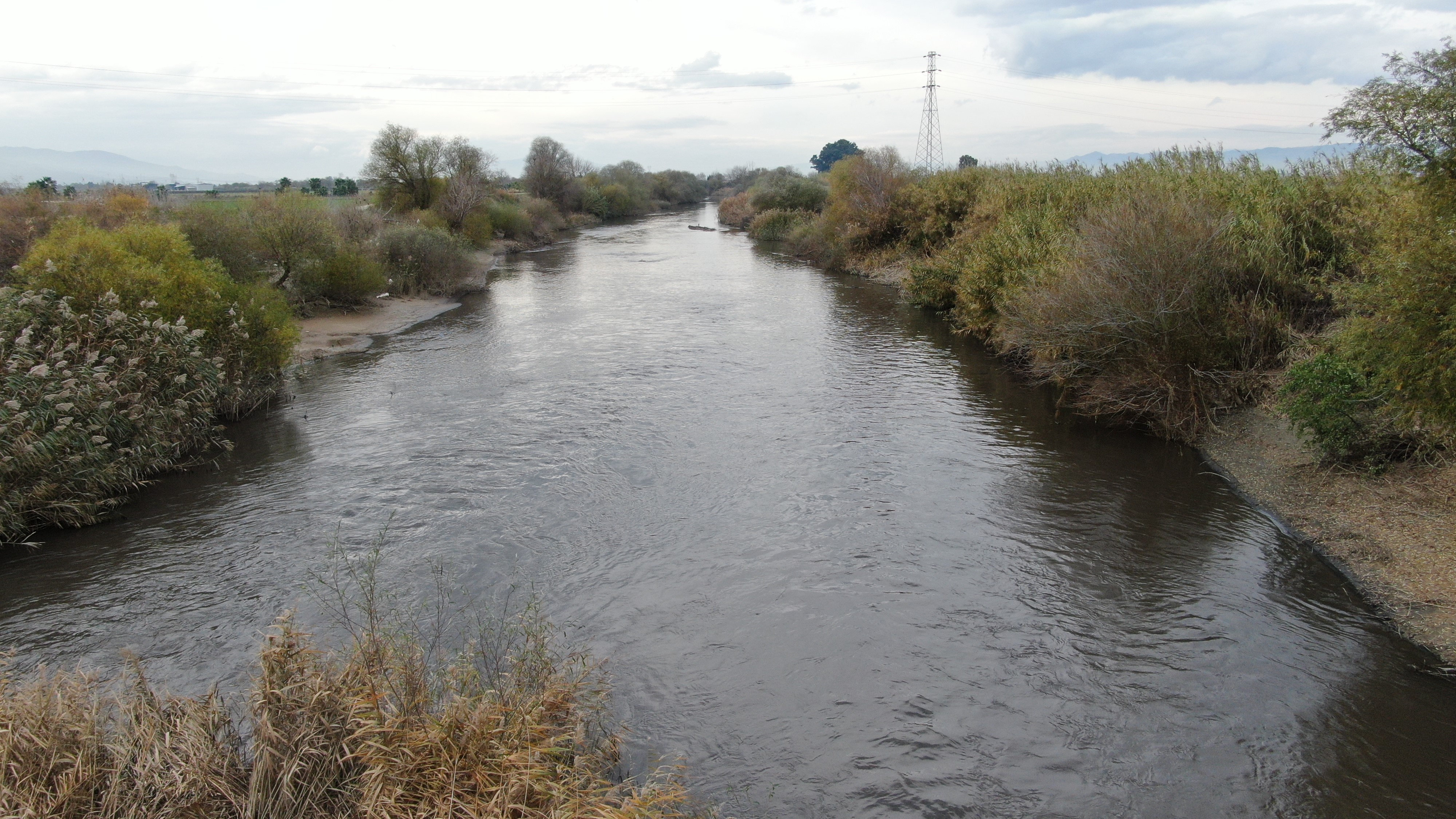 Aydın’da Menderes Nehri Yükseldi (3)