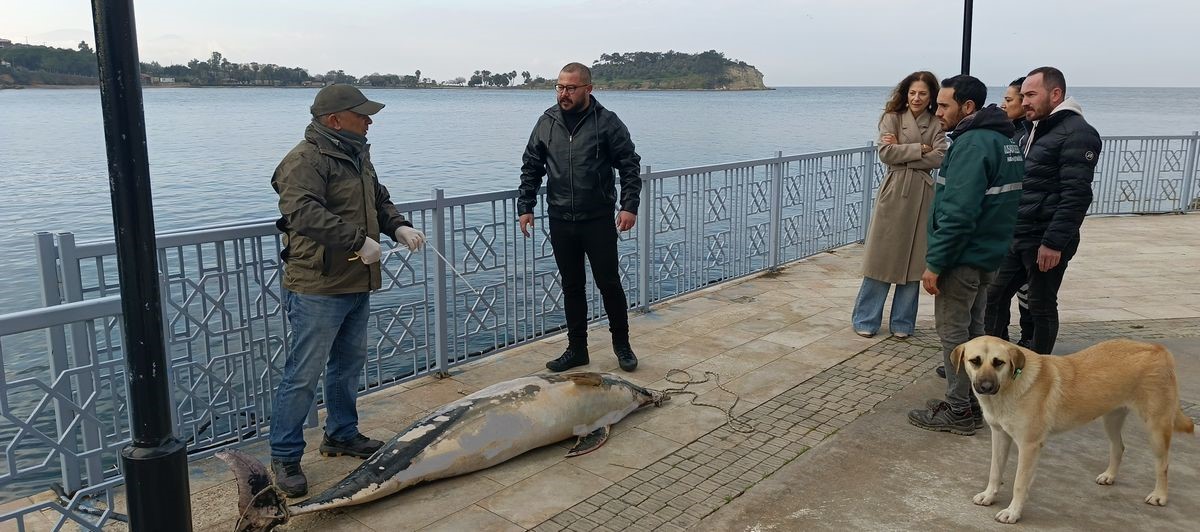 Aydın’da Ölü Halde Kayalıklara Vurdu (3)