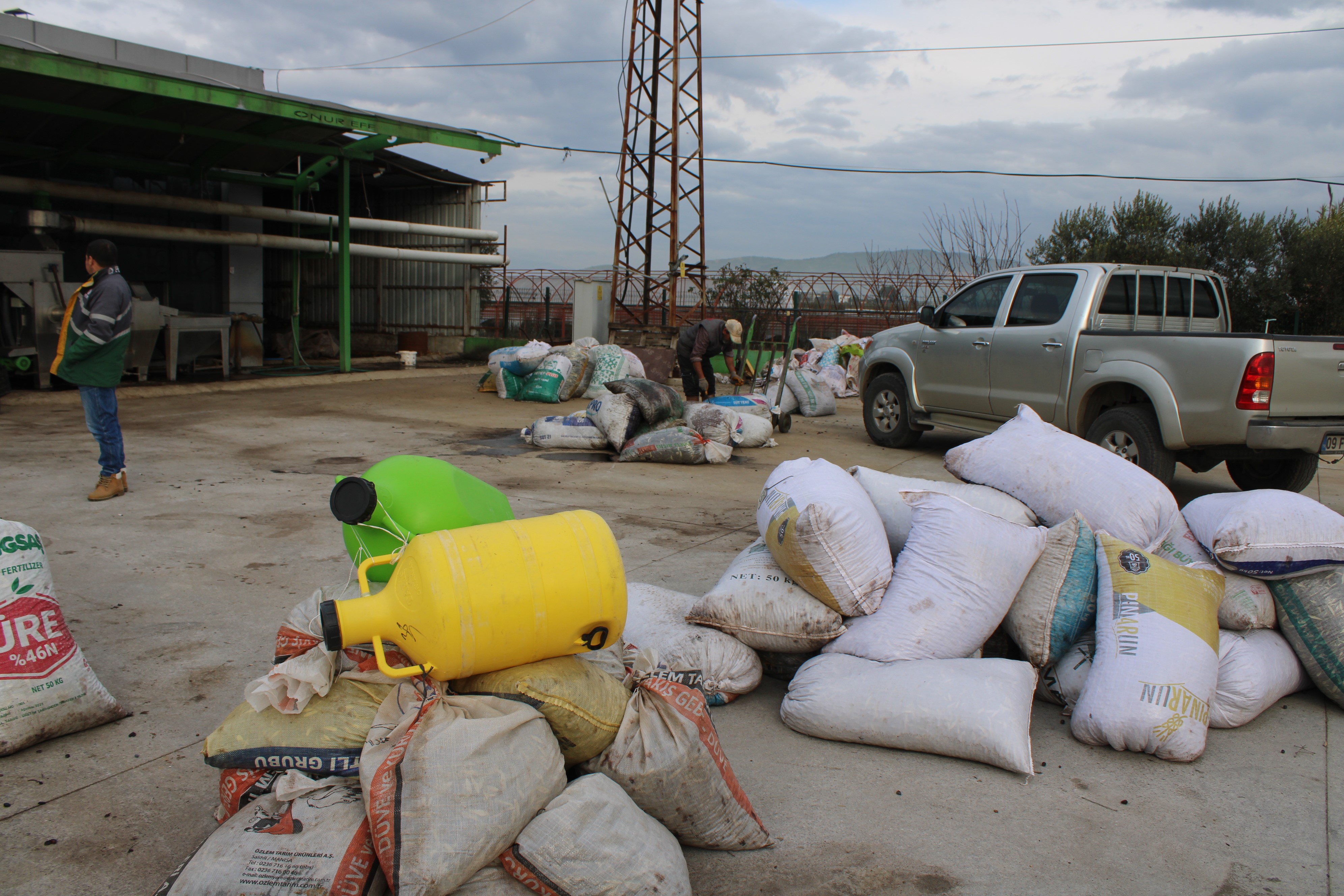 Aydın'da Zeytinin Yağa Dönüşüm Yolculuğu Başladı (7)