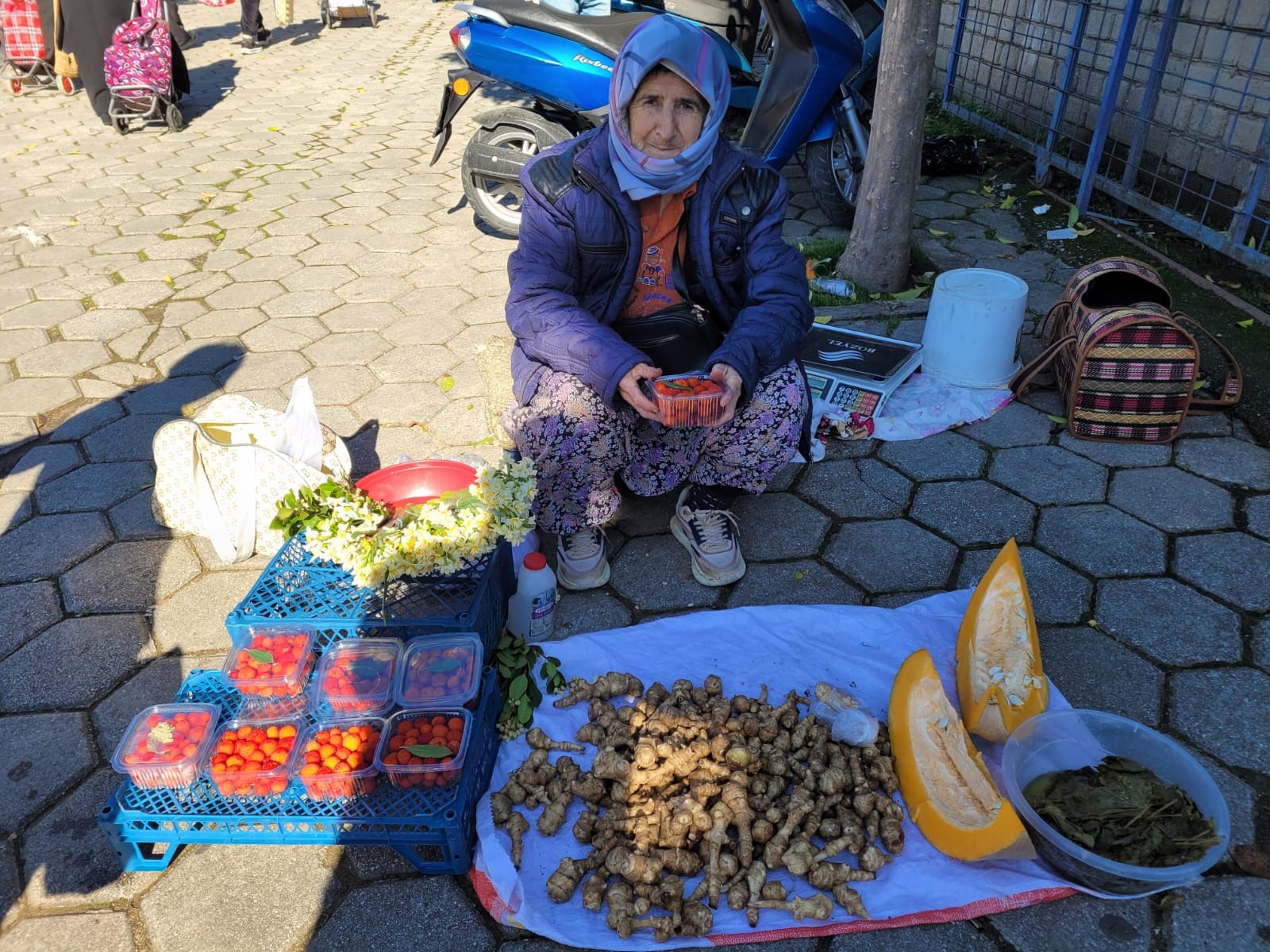 Aydınlı Semiha Teyze 67 Yaşında Çalışmaya Devam Ediyor, Ürünleri Tamamen Organik (7)