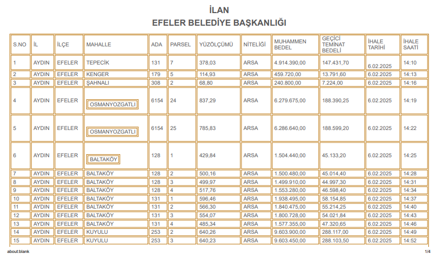 Ekran Görüntüsü 2025 01 27 134104