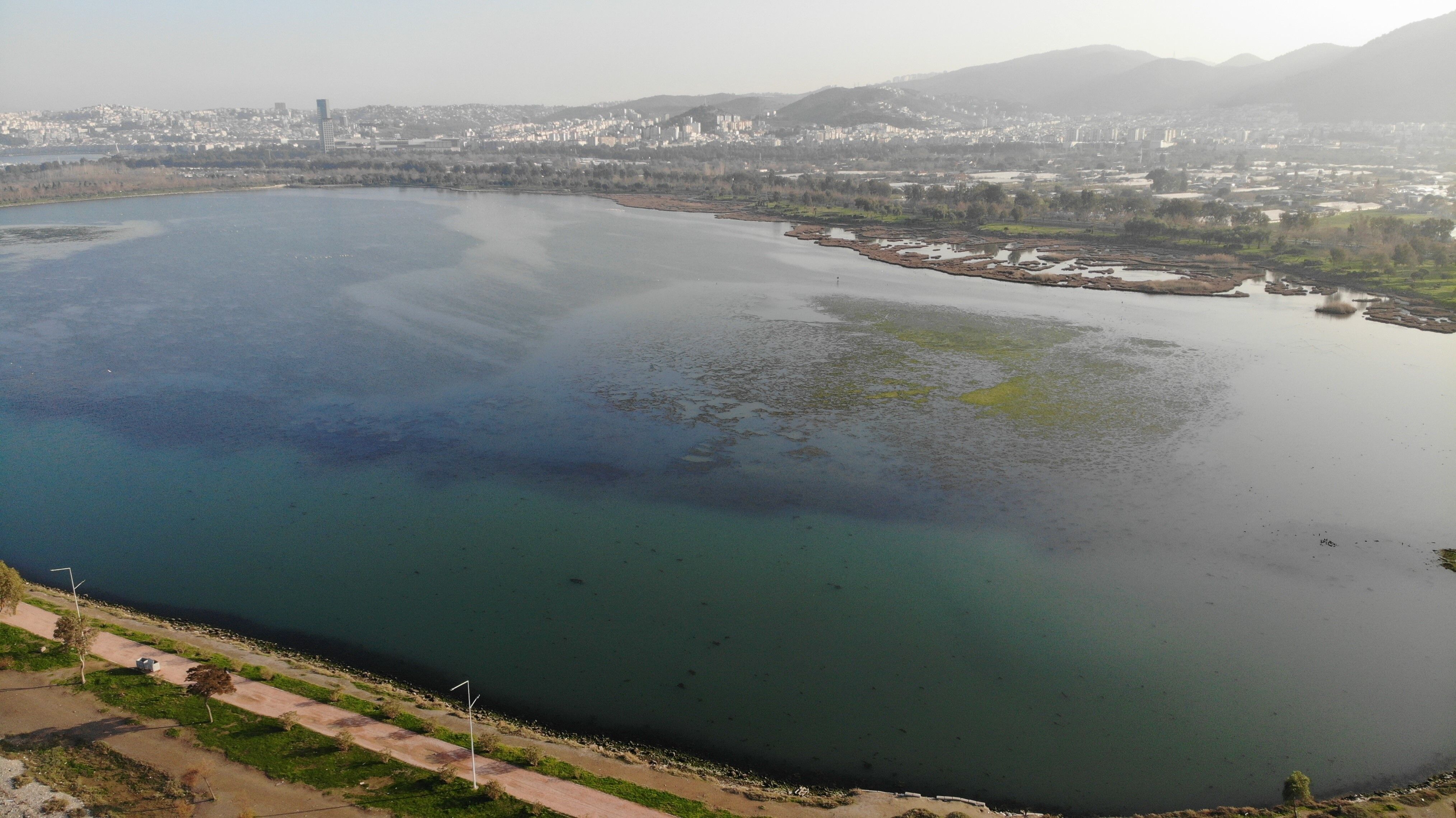 İnciraltı Sahilini Deniz Marulu Sardı