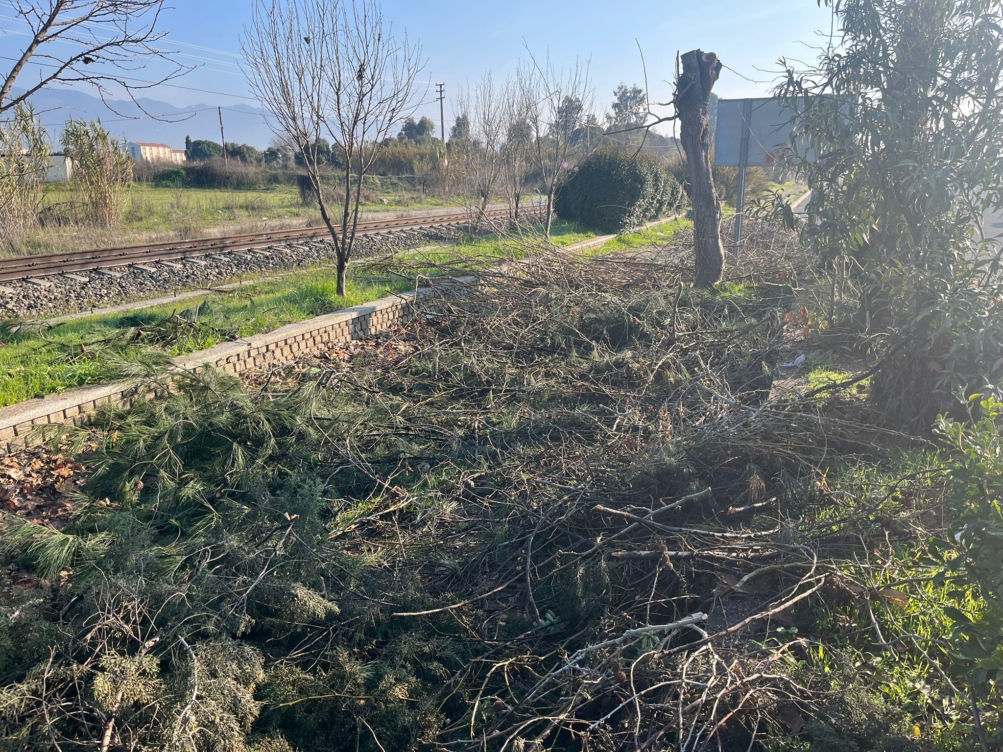 Tabelayı Asan Bu Hale Getirdi (3)