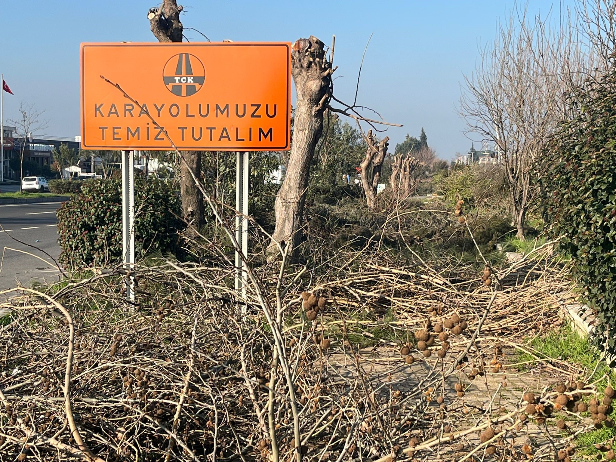 Tabelayı Asan Bu Hale Getirdi