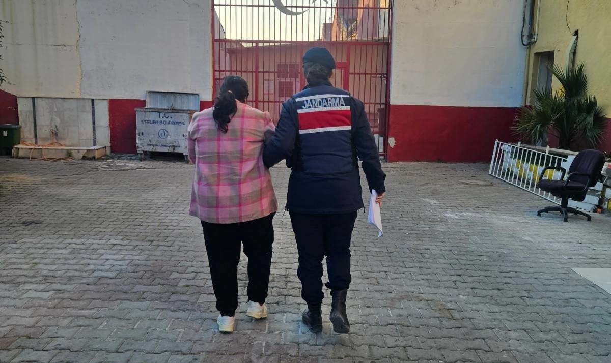 Aydın Jandarmasından Bağ Evine Baskın.