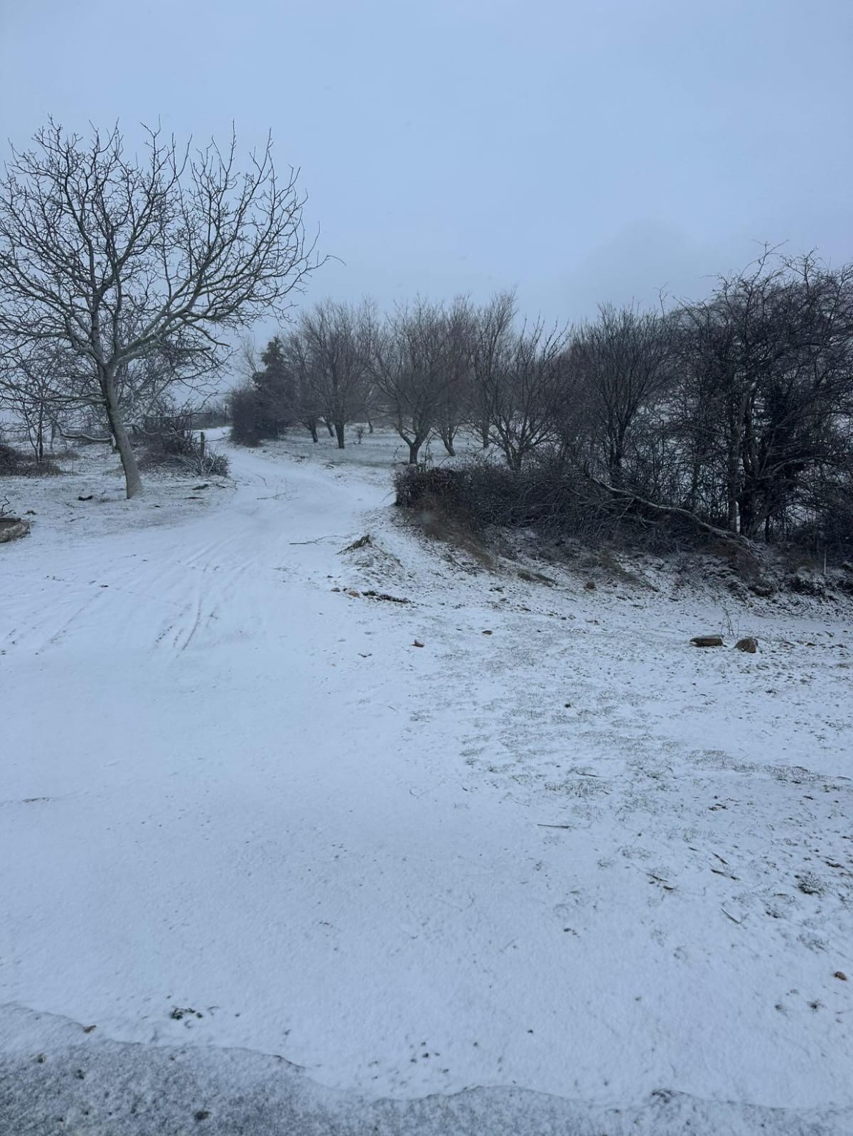 Aydın’da Kar Yağışı Başladı (10)